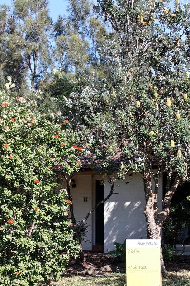 44 Manyana Drive, Manyana - Thumbnail 3