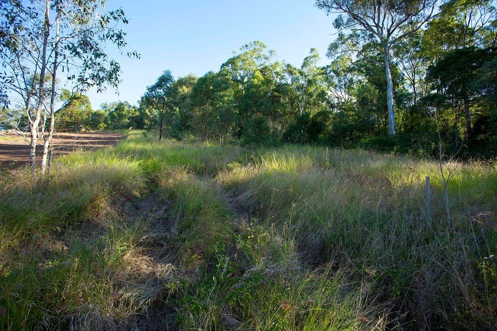 15 Dillon Road, THE GAP QLD 4061, The Gap - Thumbnail 2
