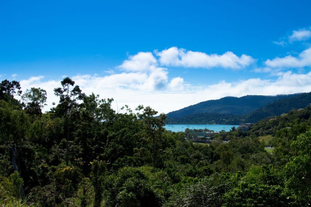 13 Flametree Court, AIRLIE BEACH QLD 4802, Airlie Beach - Thumbnail 5
