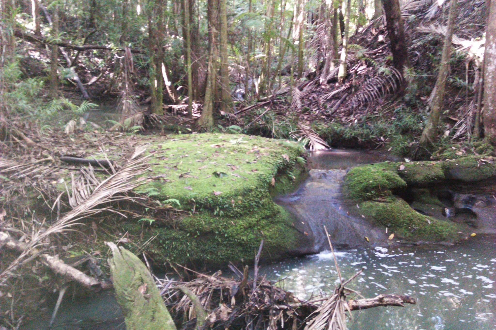 114 Wild Road, Crohamhurst QLD 4519, Crohamhurst - Thumbnail 3