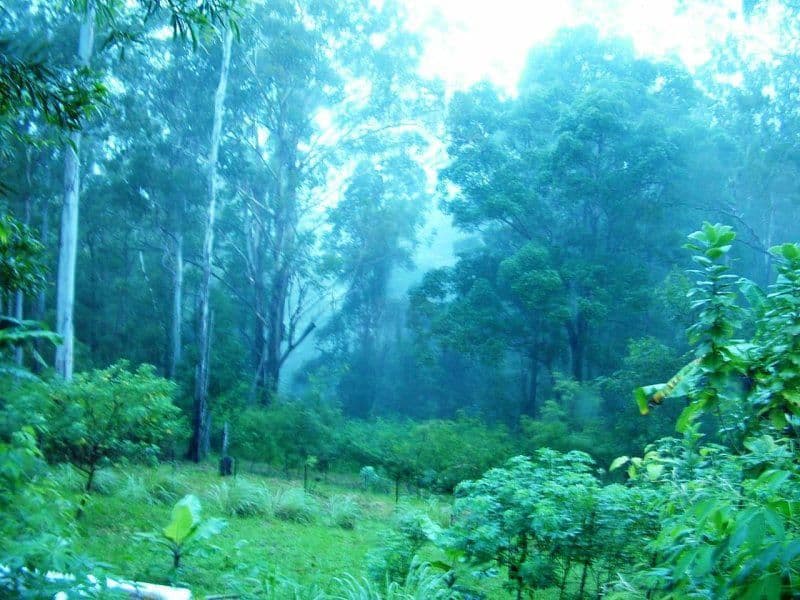114 Wild Road, Crohamhurst QLD 4519, Crohamhurst - Thumbnail 4