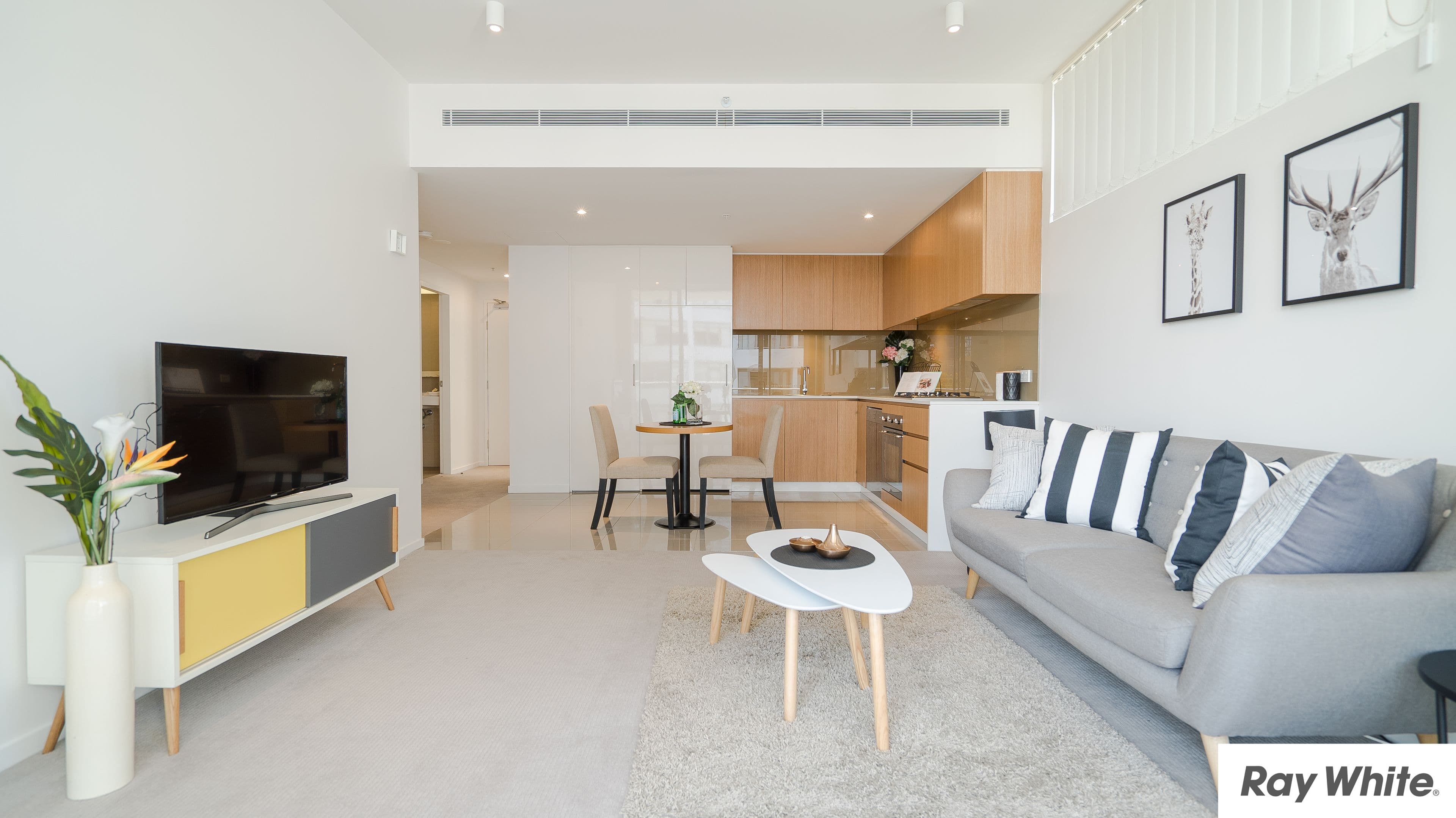 4 Saunders Close, Macquarie Park NSW 2113, Macquarie Park - Thumbnail 3