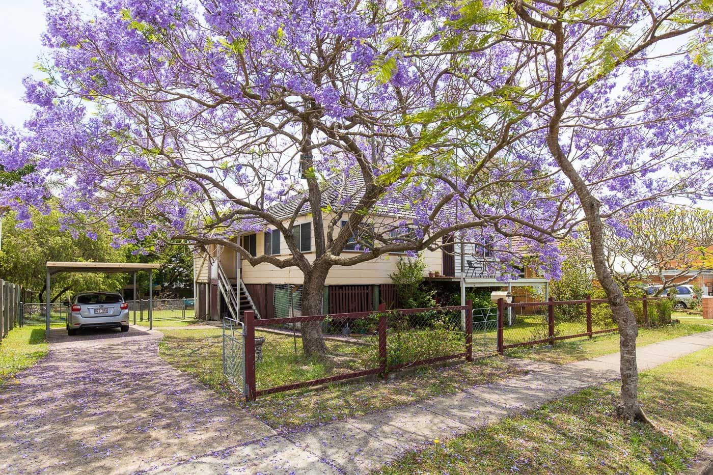 11 Marsh Street, Cannon Hill QLD 4170, Cannon Hill - Image 1