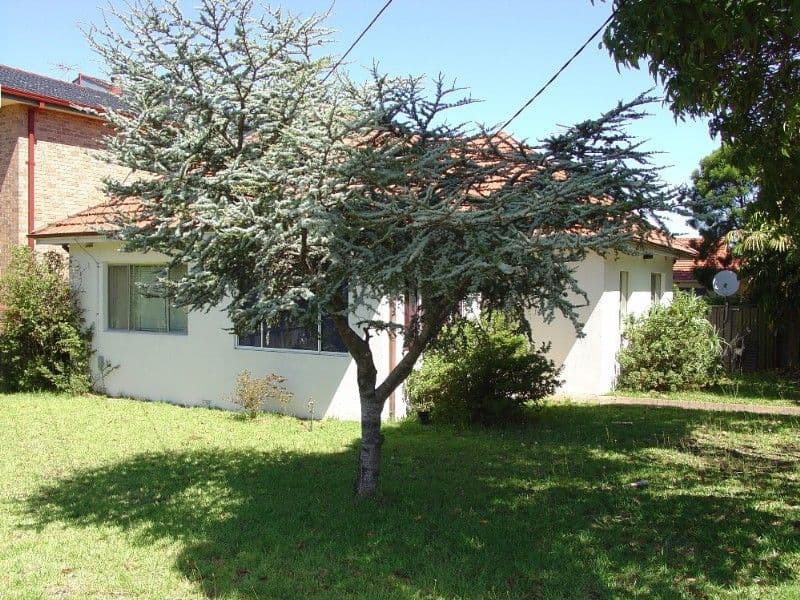 46 Fricourt Avenue, EARLWOOD NSW 2206, Earlwood - Image 1