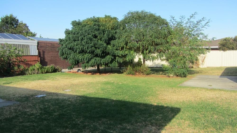 417 Kotthoff Street, LAVINGTON NSW 2641, Lavington - Thumbnail 7