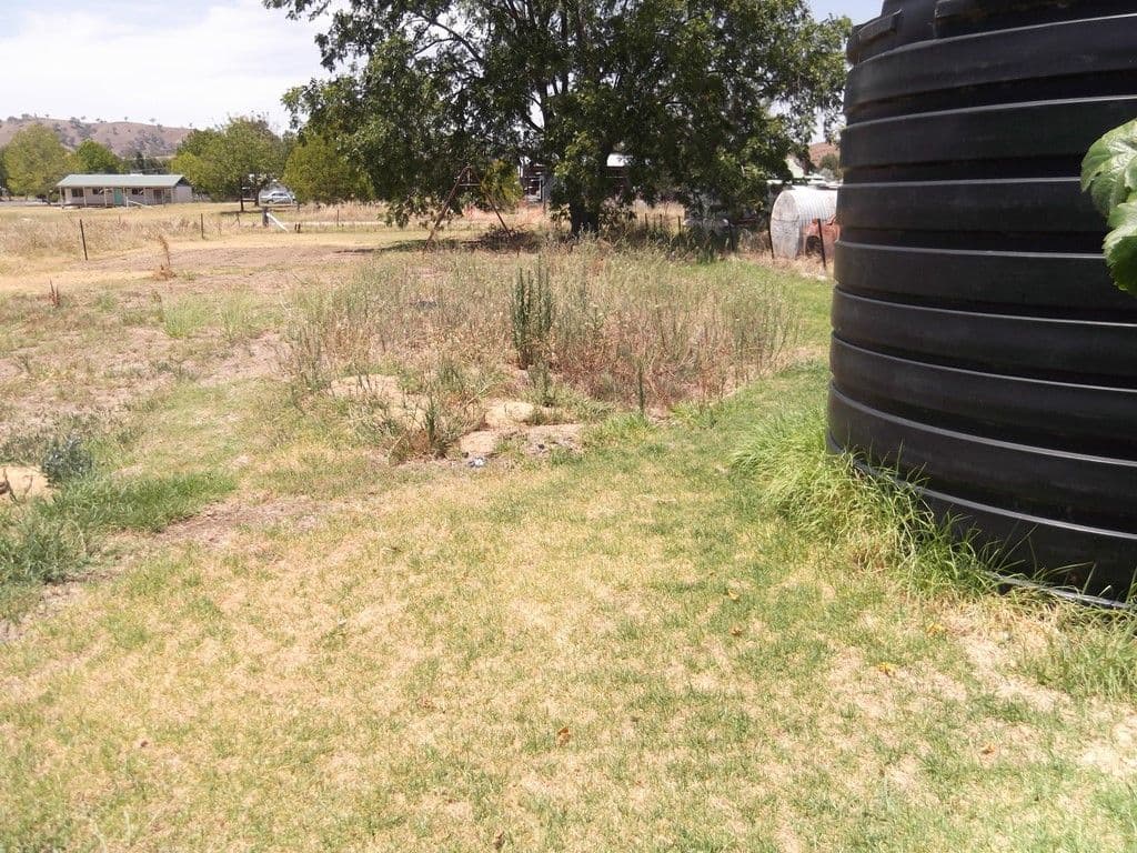 12 Fitzroy Street, BARRABA NSW 2347, Barraba - Thumbnail 8