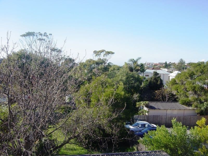 47 Harbord Road, FRESHWATER NSW 2096, Freshwater - Thumbnail 3