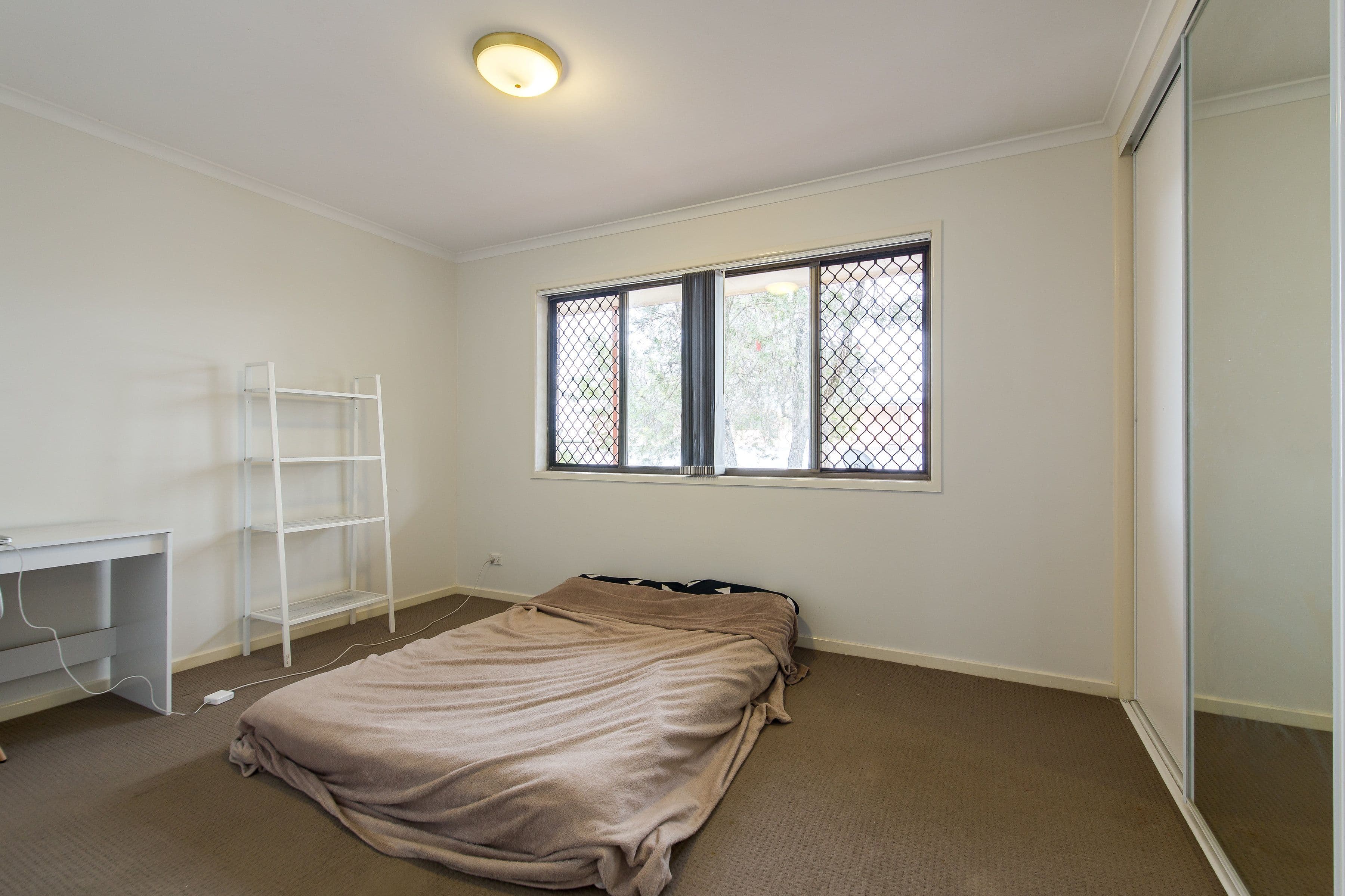 19 Woomba Place, Mooloolaba QLD 4557, Mooloolaba - Thumbnail 5