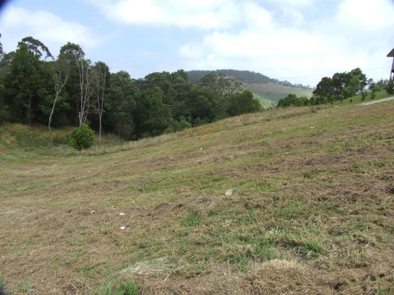 7 Tuckeroo Close, COFFS HARBOUR NSW 2450, Coffs Harbour - Thumbnail 5