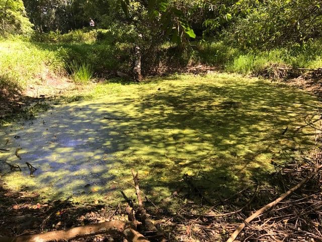 Lot 36 Denning Road, Currumbin Valley QLD 4223, Currumbin Valley - Thumbnail 8