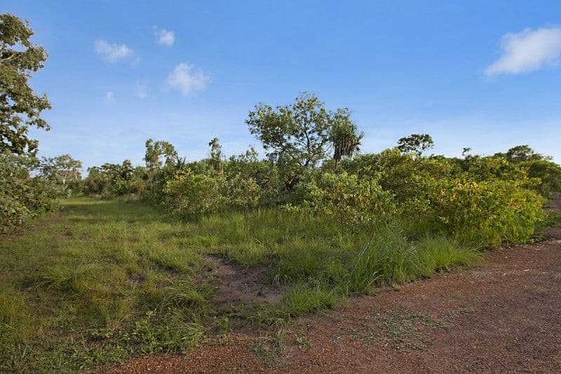 14 Apostle Place, HOWARD SPRINGS NT 0835, Howard Springs - Thumbnail 3