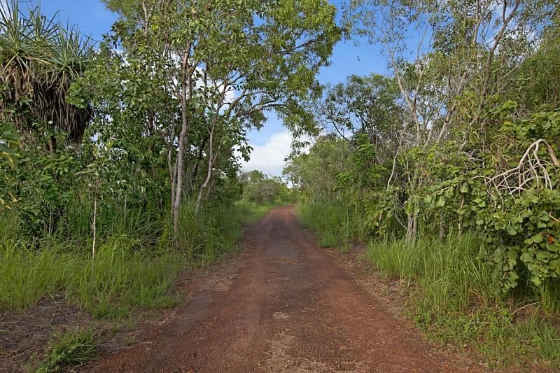 14 Apostle Place, HOWARD SPRINGS NT 0835, Howard Springs - Thumbnail 6