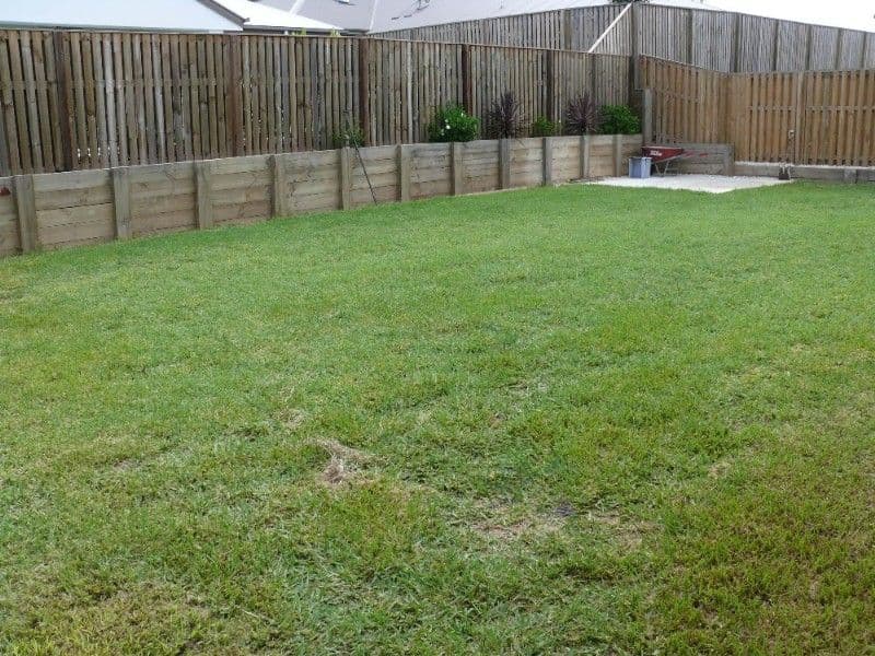 21 Phaeton Street, UPPER COOMERA QLD 4209, Upper Coomera - Thumbnail 3