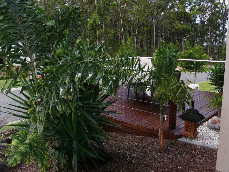 21 Phaeton Street, UPPER COOMERA QLD 4209, Upper Coomera - Thumbnail 5