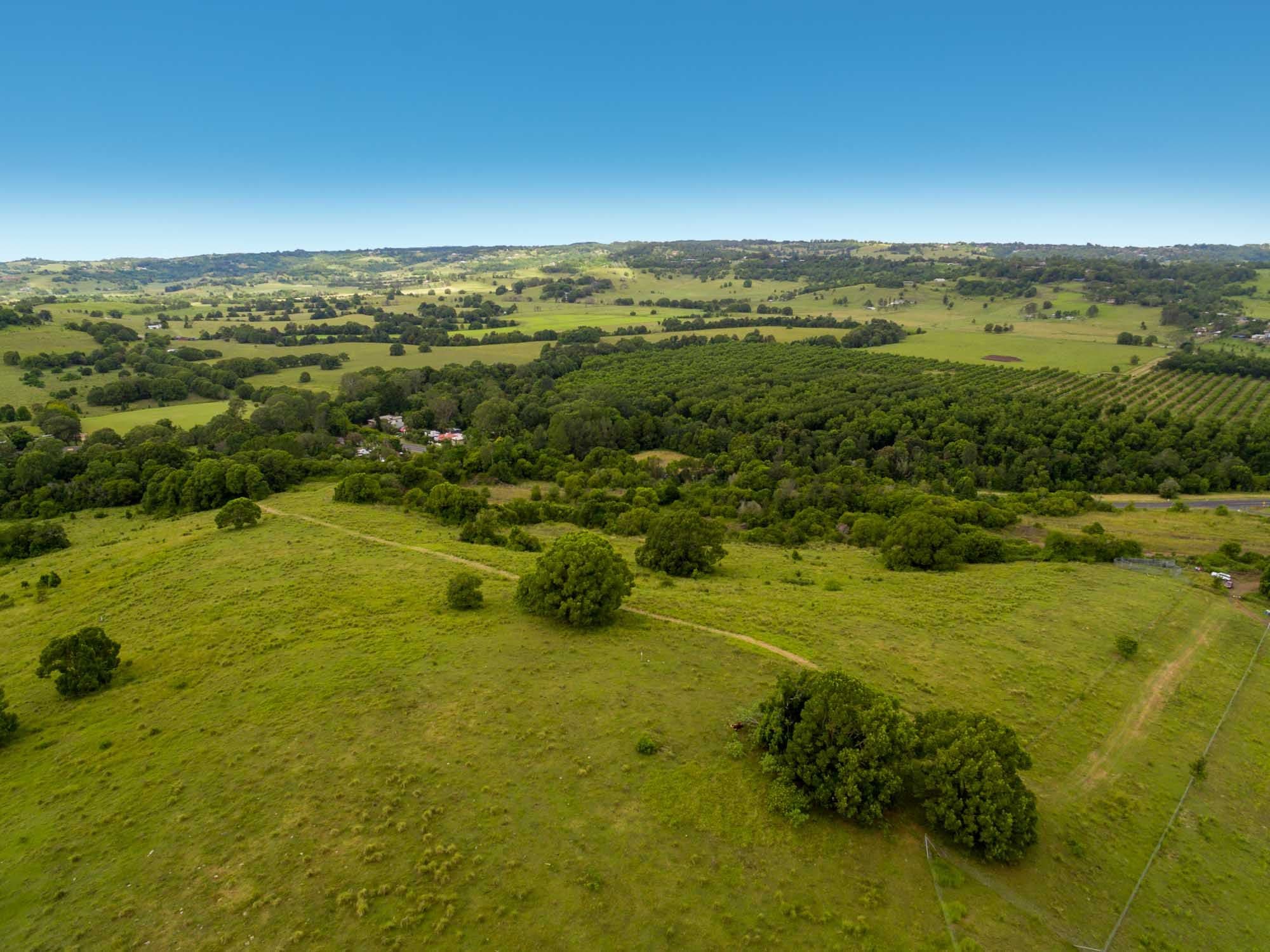 22B Rankin Road, Bexhill NSW 2480, Bexhill - Thumbnail 3