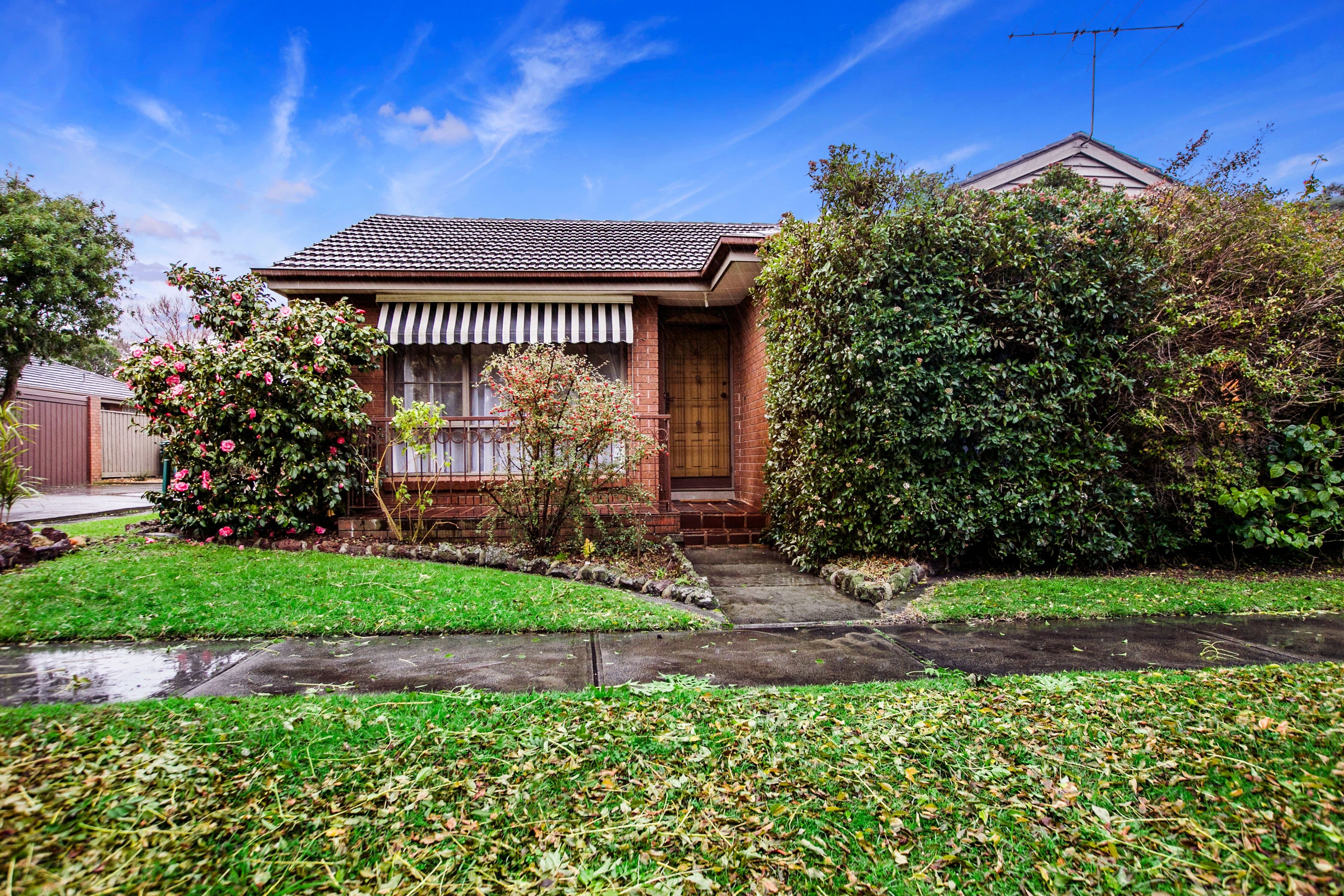 12 Edinburgh Road, Forestville, Forestville - Image 1