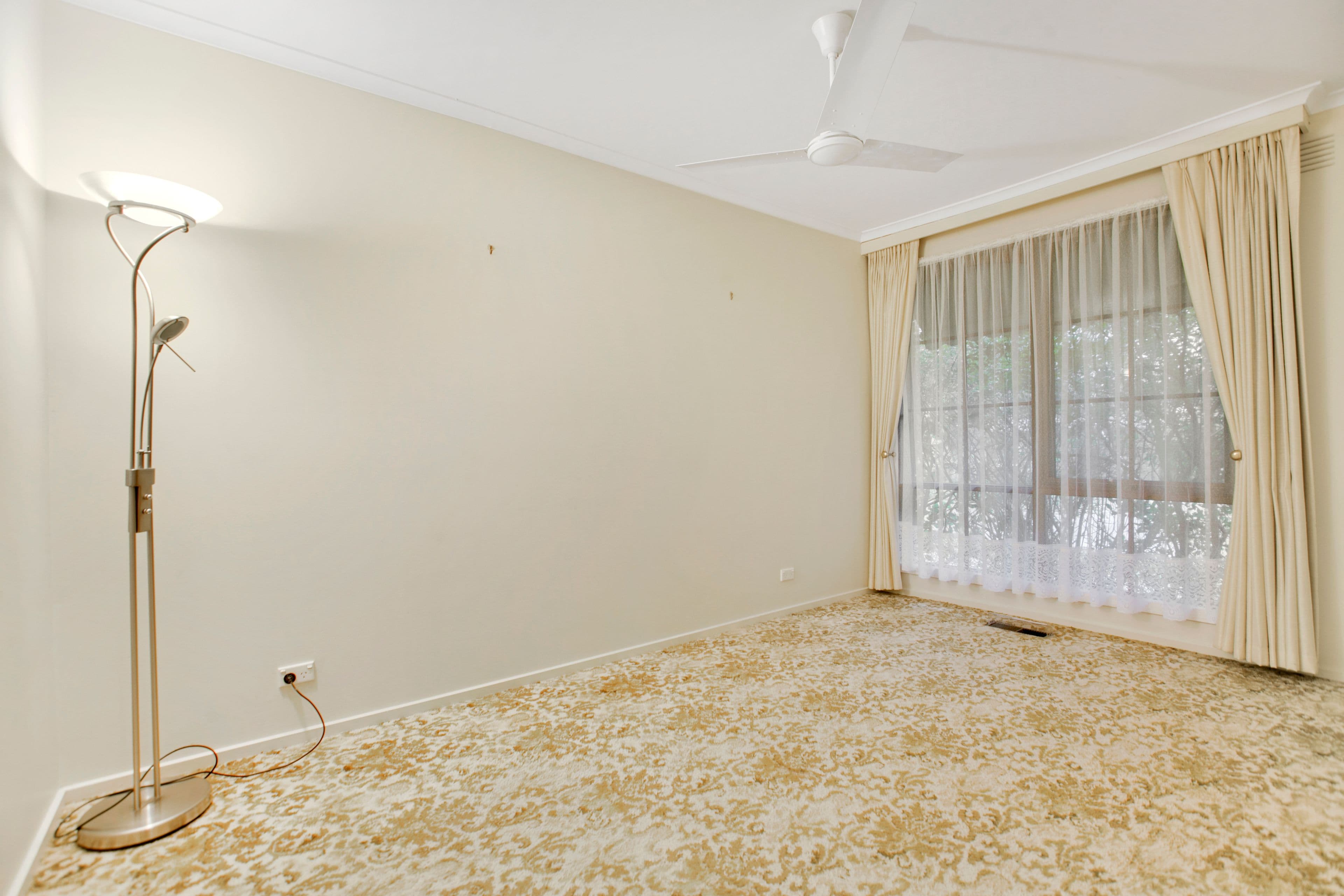 12 Edinburgh Road, Forestville, Forestville - Thumbnail 5
