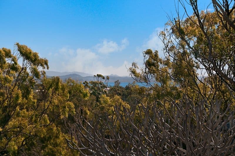 35 Browning Street, BYRON BAY NSW 2481, Byron Bay - Thumbnail 4
