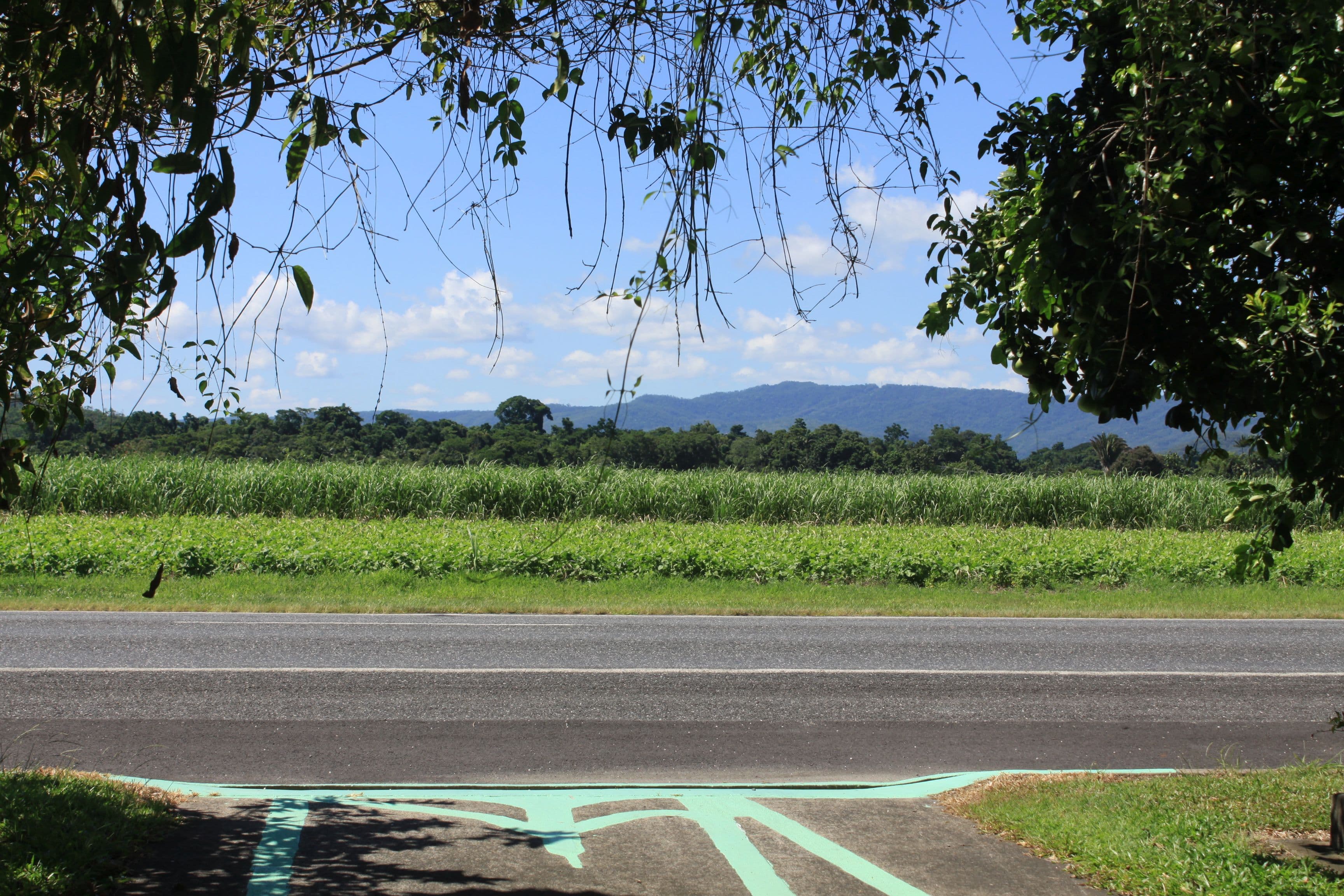 23 Cedars Street, Mossman QLD 4873, Mossman - Thumbnail 3