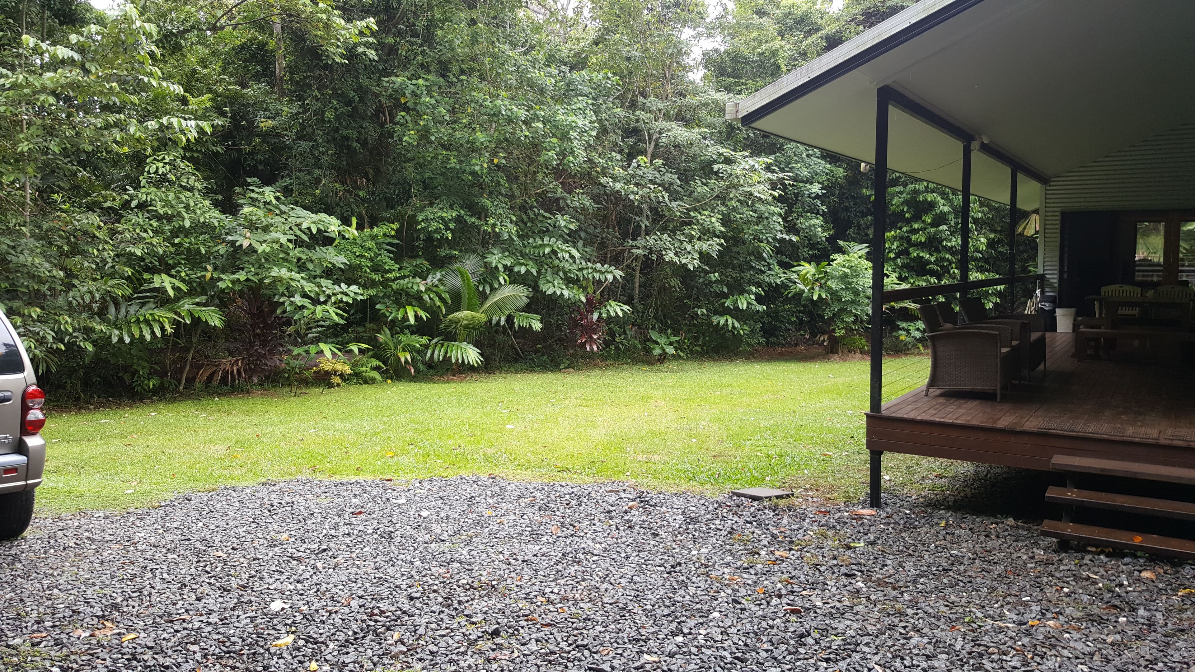 144 Quandong Road, Cow Bay, Daintree QLD 4873, Daintree - Thumbnail 5