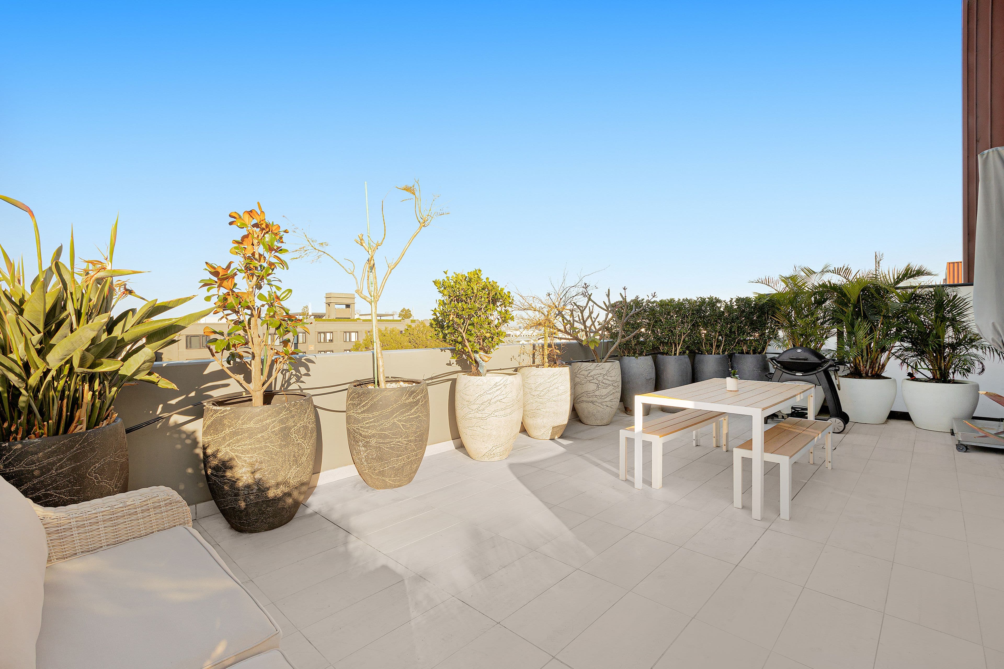 11 Rosebery Avenue, Rosebery NSW 2018, Rosebery - Thumbnail 4