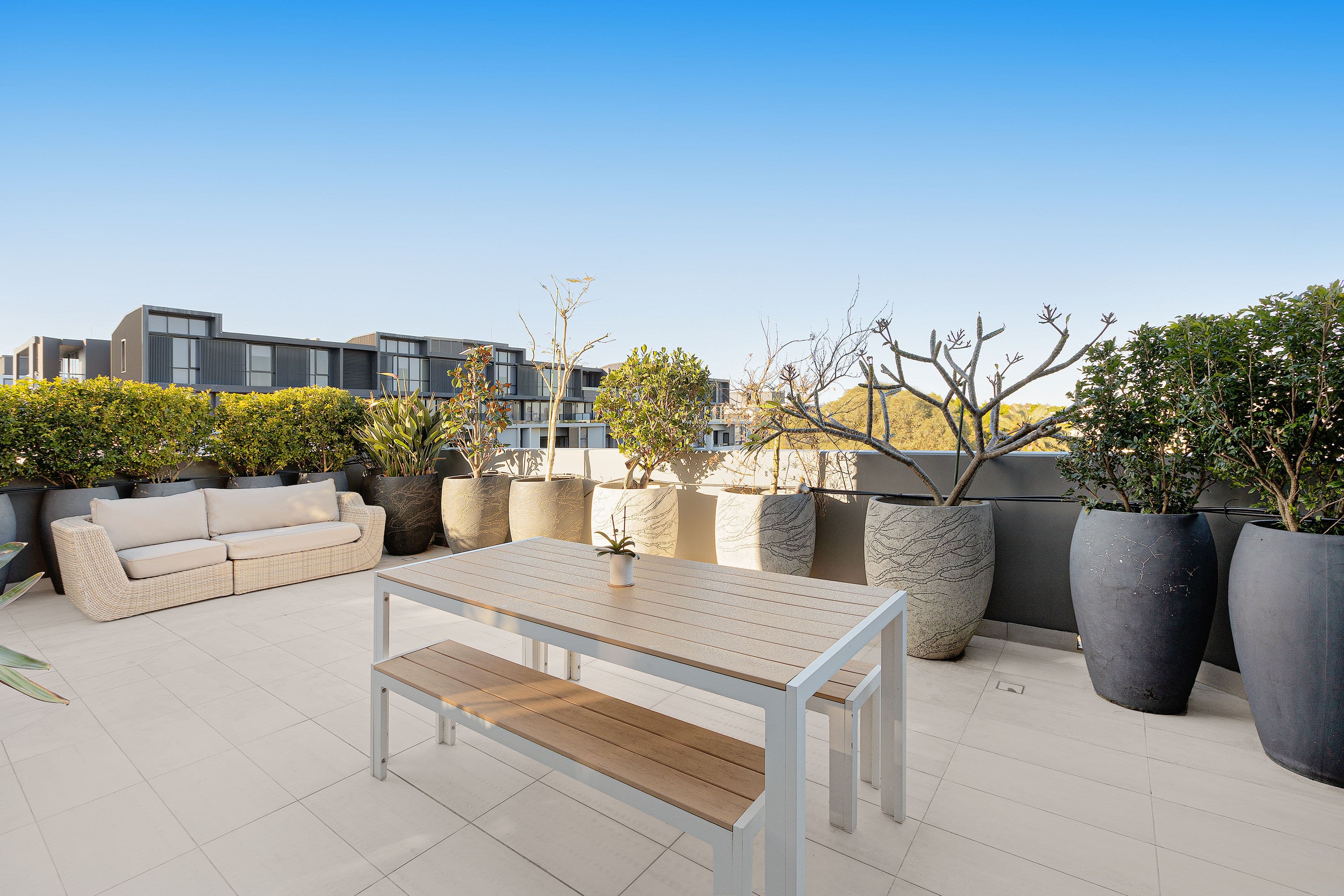 11 Rosebery Avenue, Rosebery NSW 2018, Rosebery - Thumbnail 5