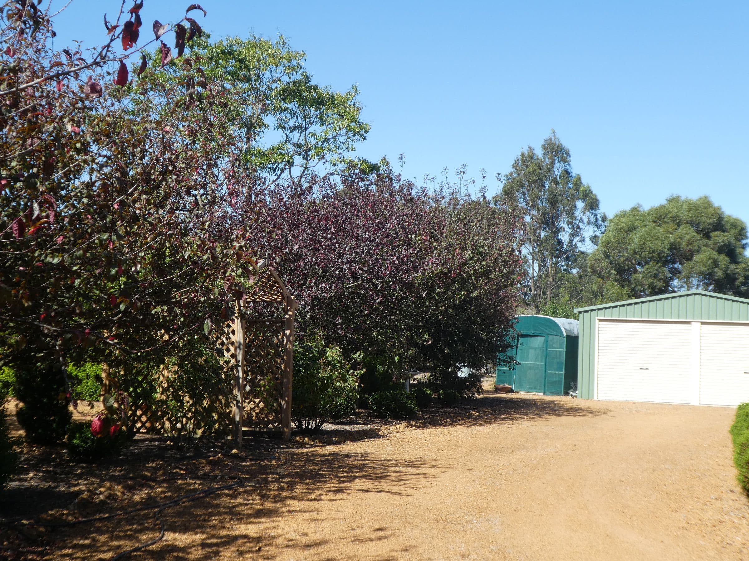 66 Martin Street, Mount Barker WA 6324, Mount Barker - Thumbnail 4