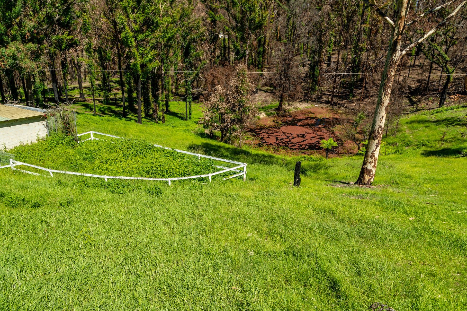 41 Ridge Avenue, Malua Bay NSW 2536, Malua Bay - Thumbnail 2