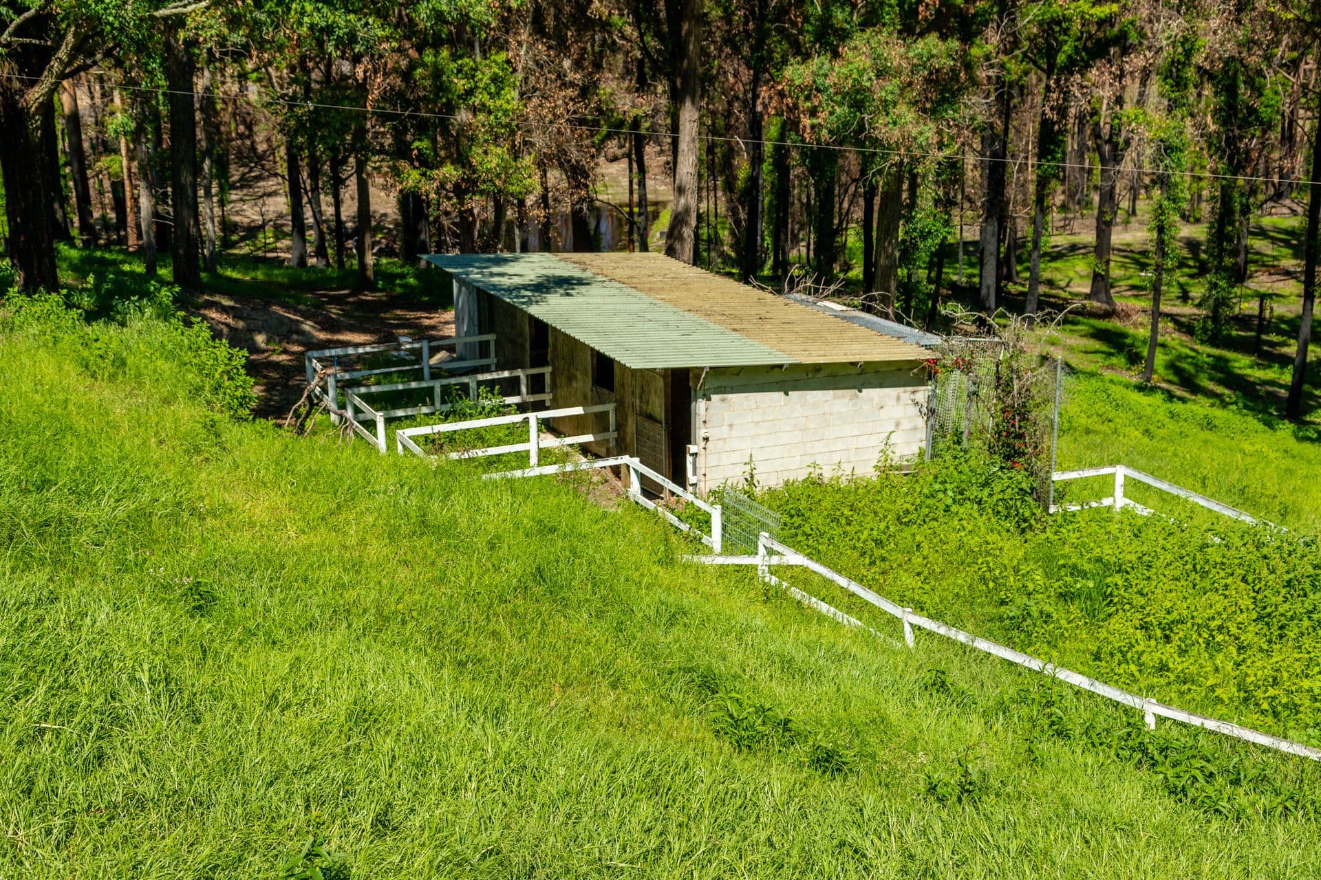 41 Ridge Avenue, Malua Bay NSW 2536, Malua Bay - Thumbnail 3