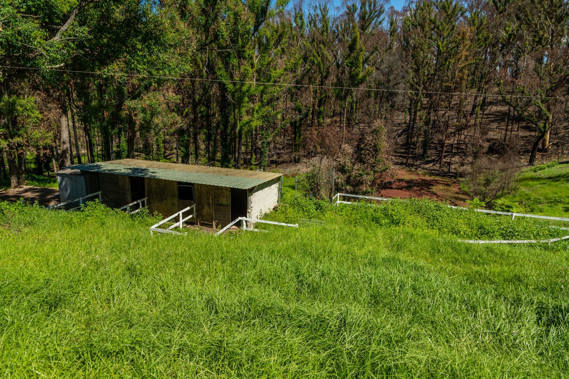 41 Ridge Avenue, Malua Bay NSW 2536, Malua Bay - Thumbnail 5