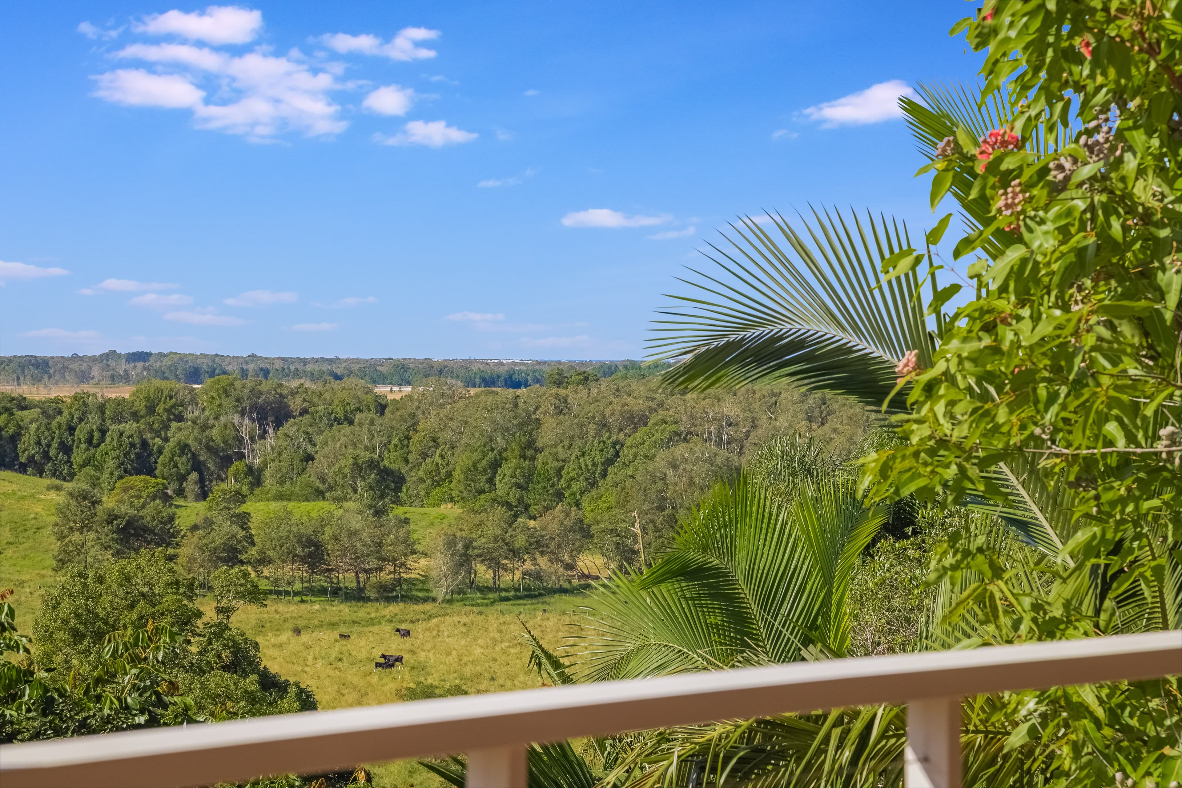 18 Brinsmead Road, Duranbah NSW 2487, Duranbah - Thumbnail 8