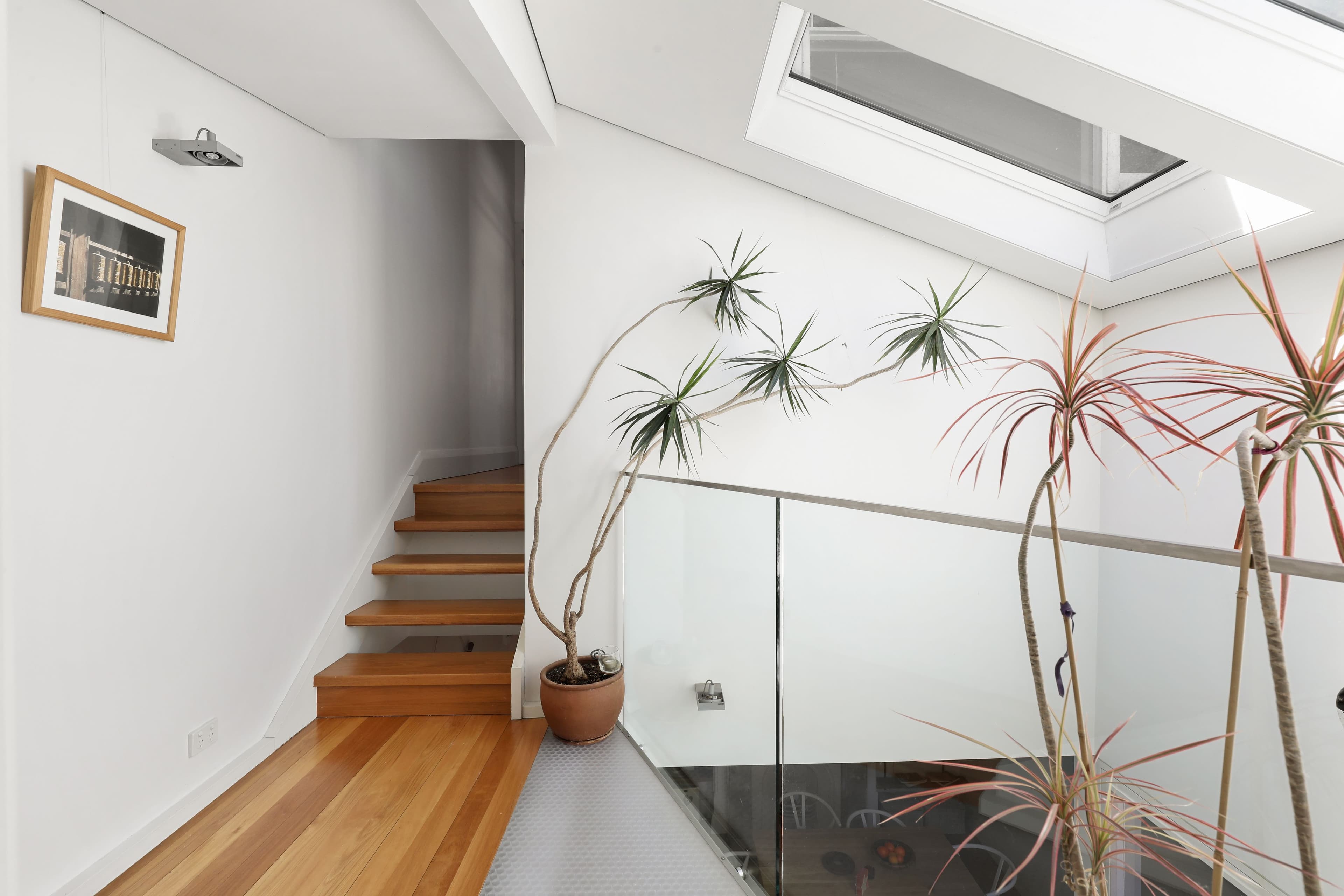 233 Denison Street, Newtown NSW 2042, Newtown - Thumbnail 5