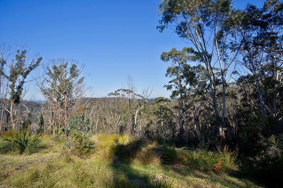 151 Donald Road, Clarence NSW 2790, Clarence - Thumbnail 4
