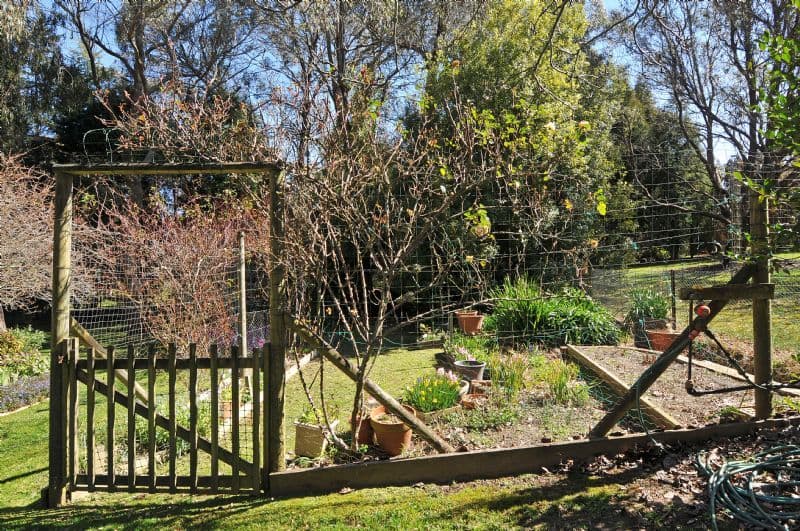 50 Charlotte Street, BURRADOO NSW 2576, Burradoo - Thumbnail 7