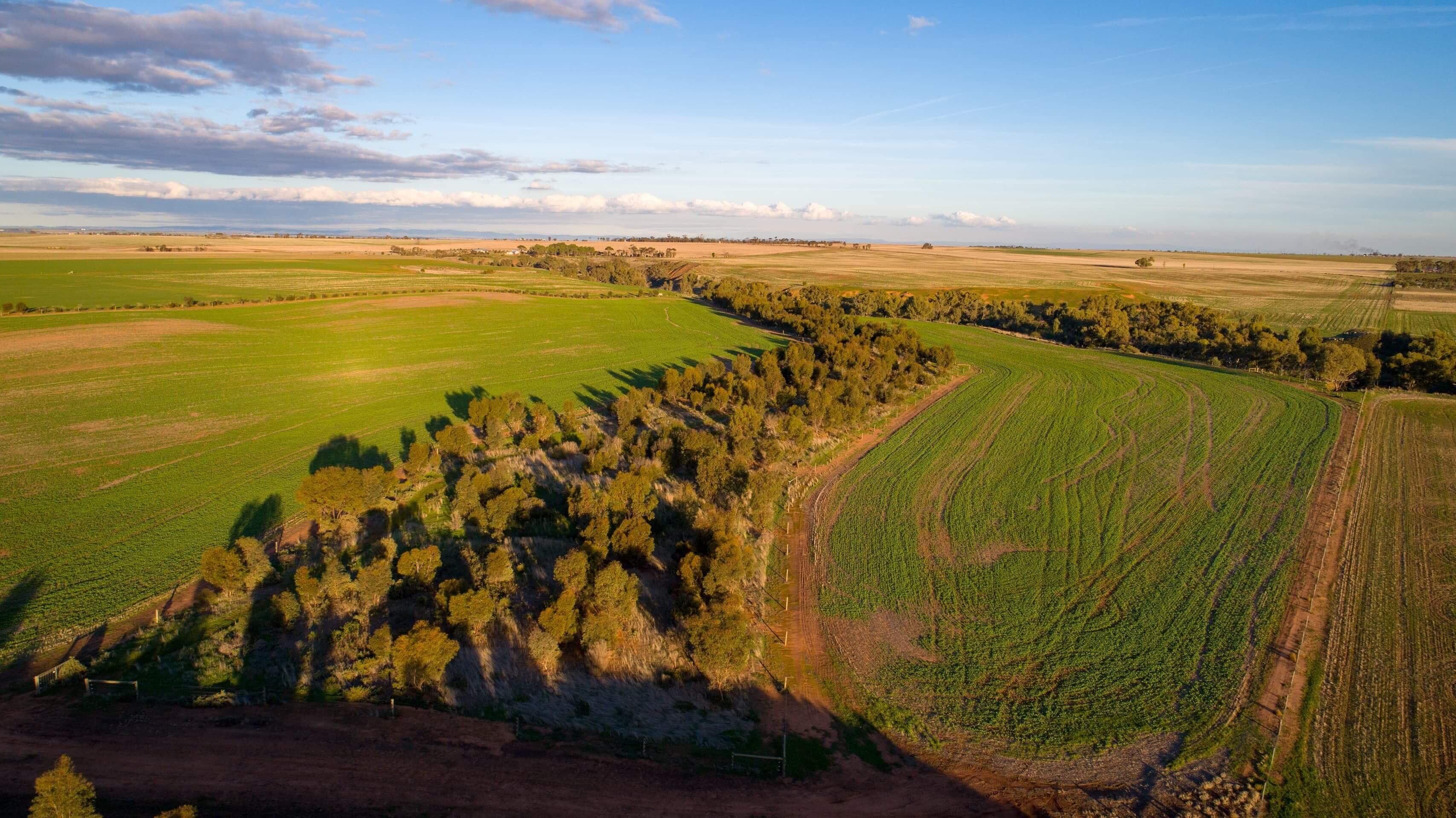 20 Hamley Bridge Road, Mallala SA 5502, Mallala - Thumbnail 2