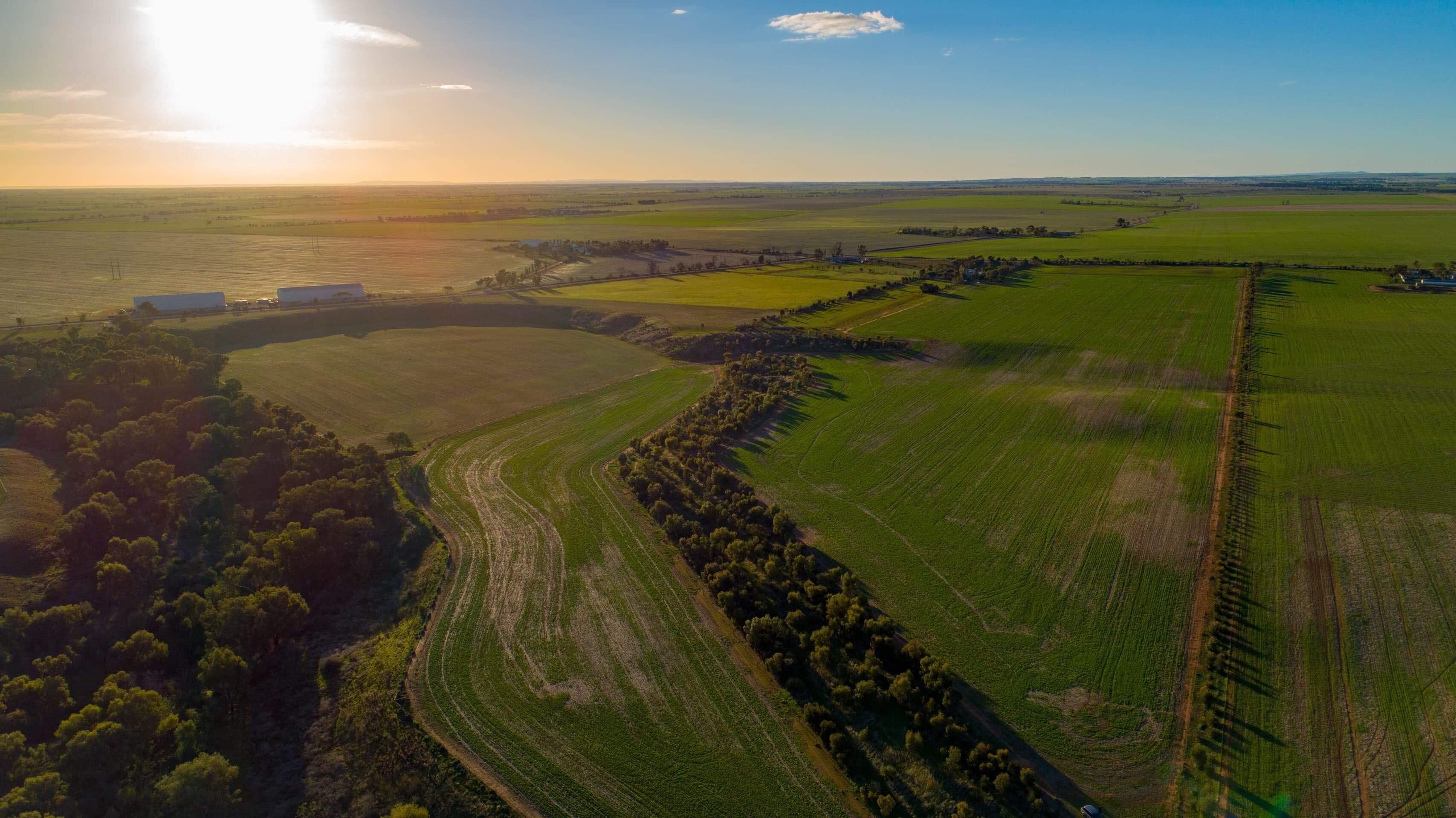 20 Hamley Bridge Road, Mallala SA 5502, Mallala - Thumbnail 3