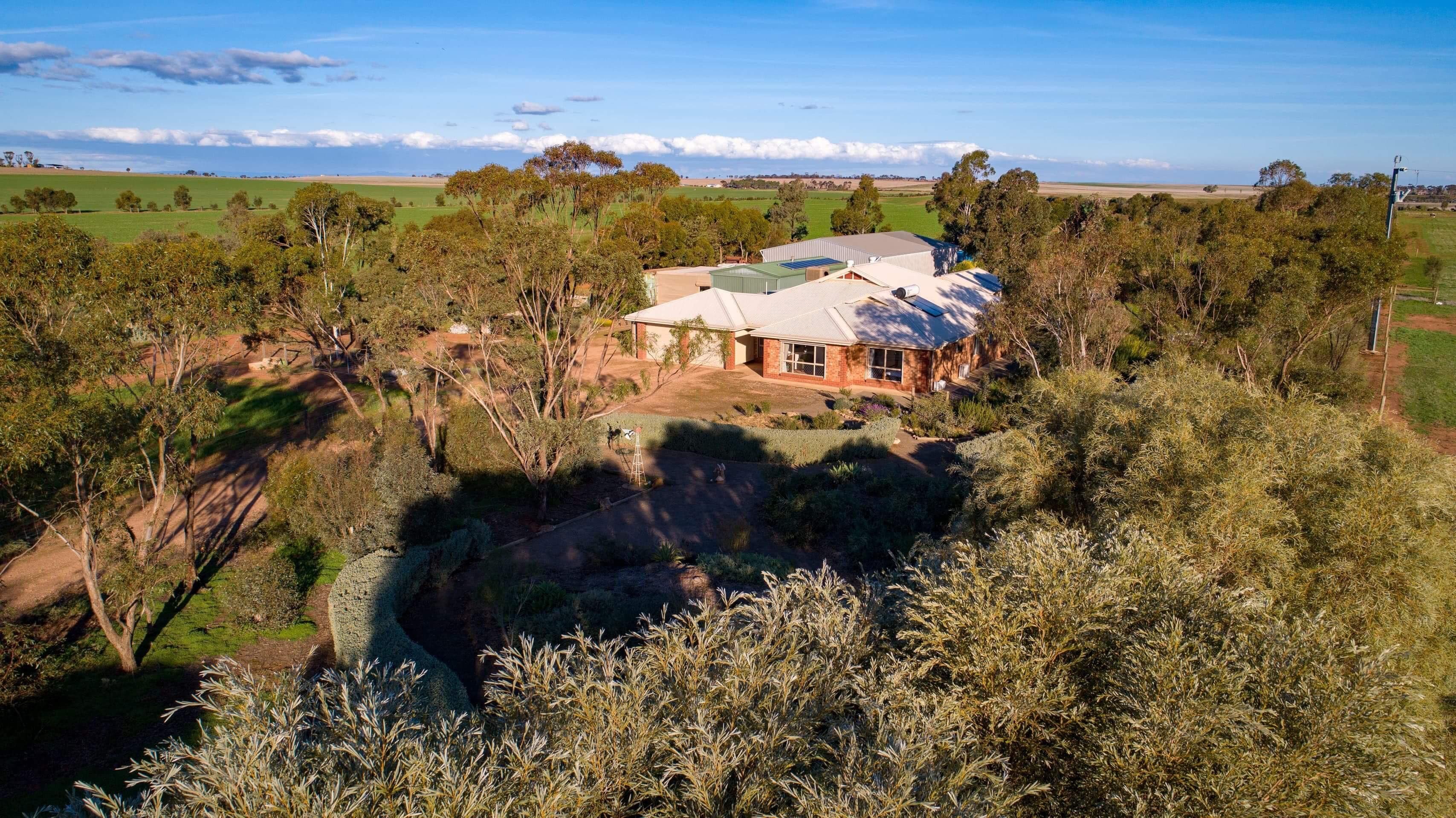 20 Hamley Bridge Road, Mallala SA 5502, Mallala - Thumbnail 4