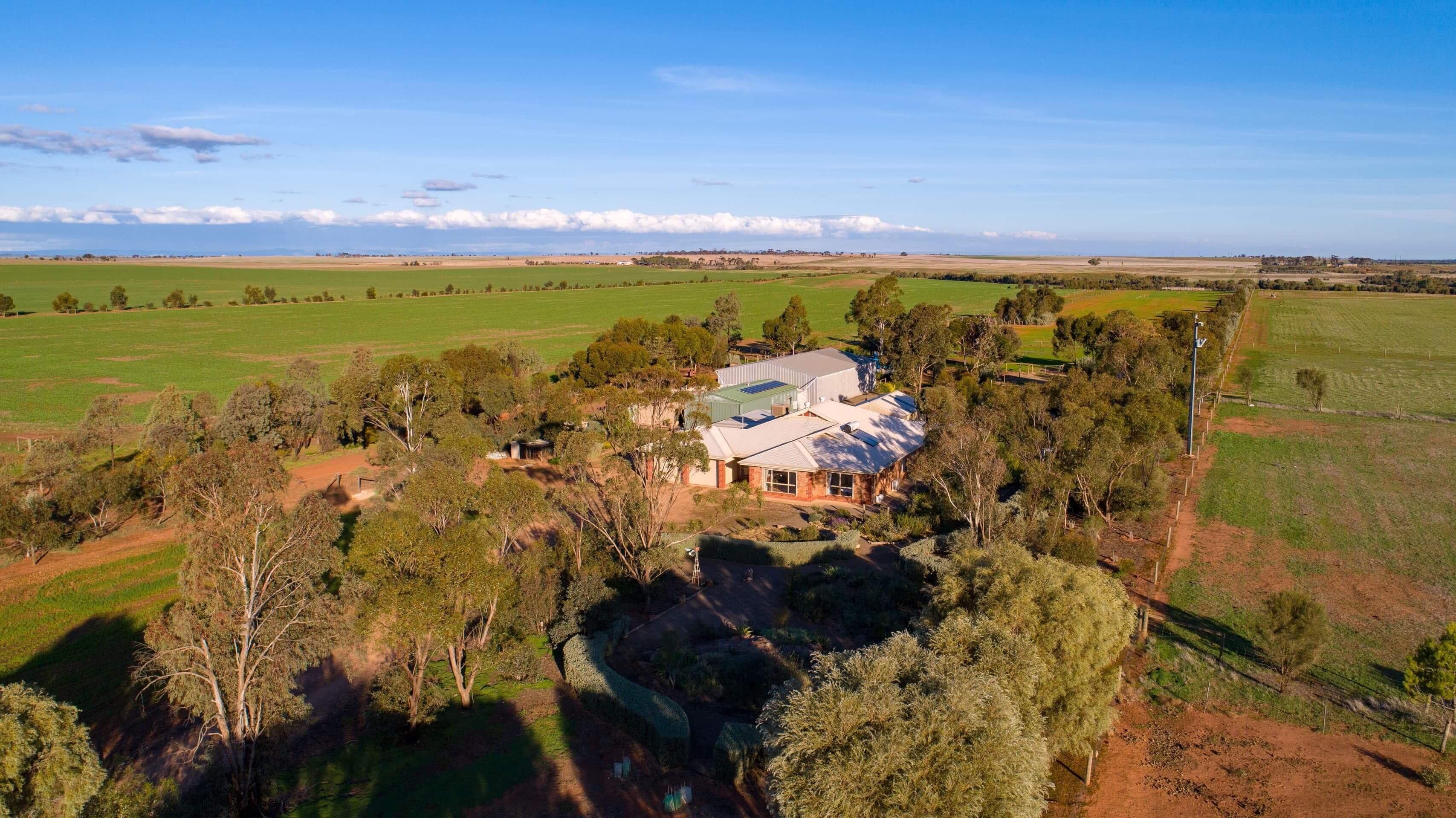 20 Hamley Bridge Road, Mallala SA 5502, Mallala - Thumbnail 5
