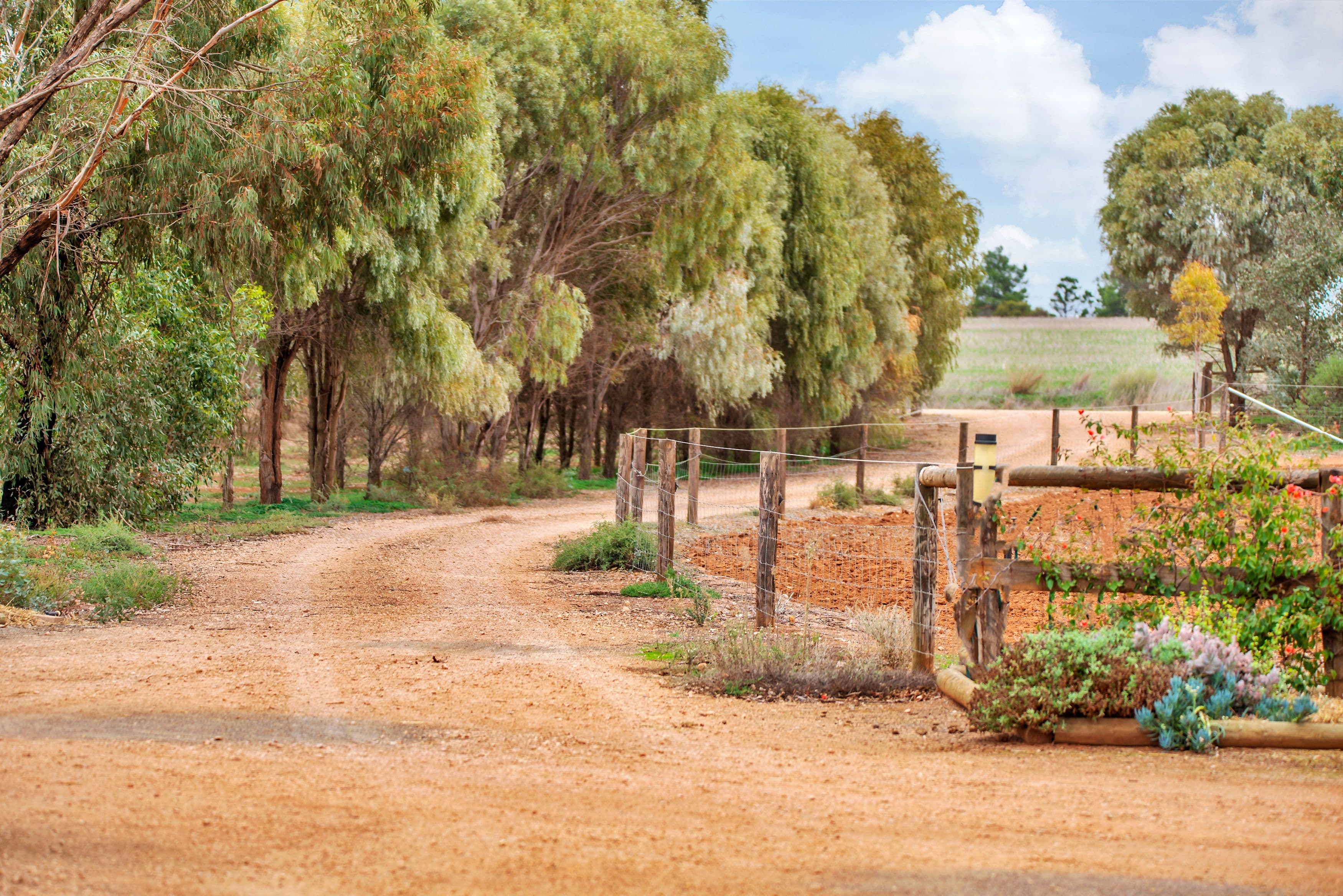 20 Hamley Bridge Road, Mallala SA 5502, Mallala - Thumbnail 7