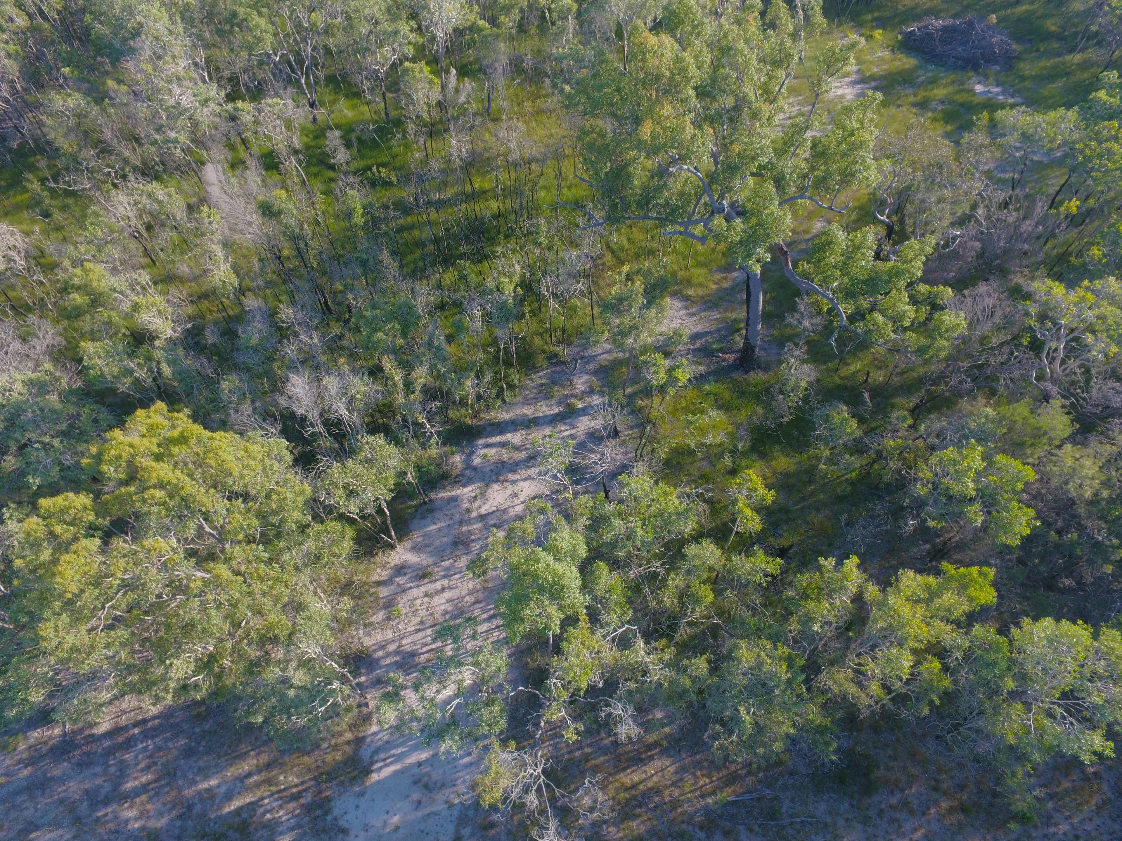 Lot 170 Josefski Road, Agnes Water QLD 4677, Agnes Water - Thumbnail 4