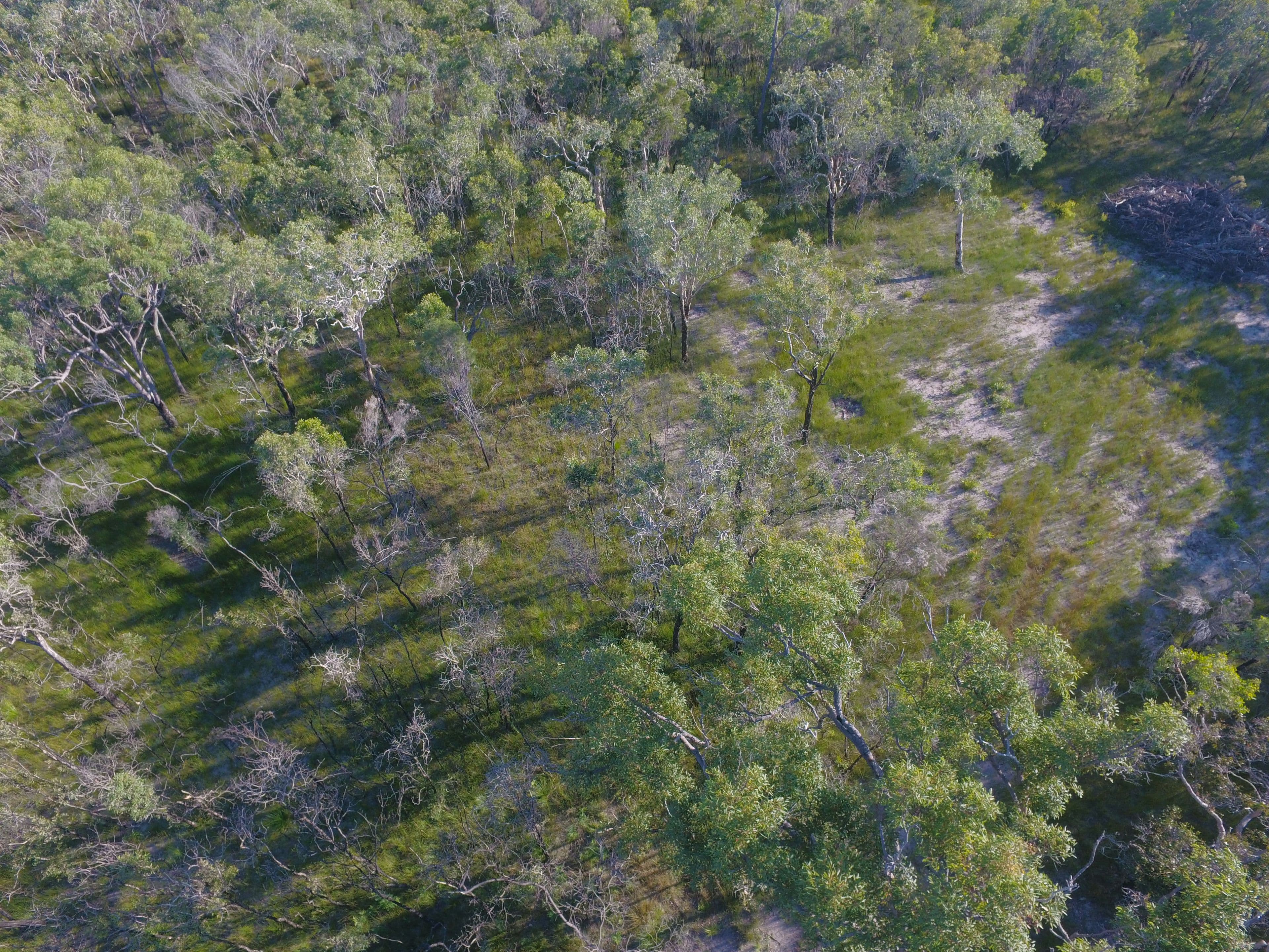 Lot 170 Josefski Road, Agnes Water QLD 4677, Agnes Water - Thumbnail 5