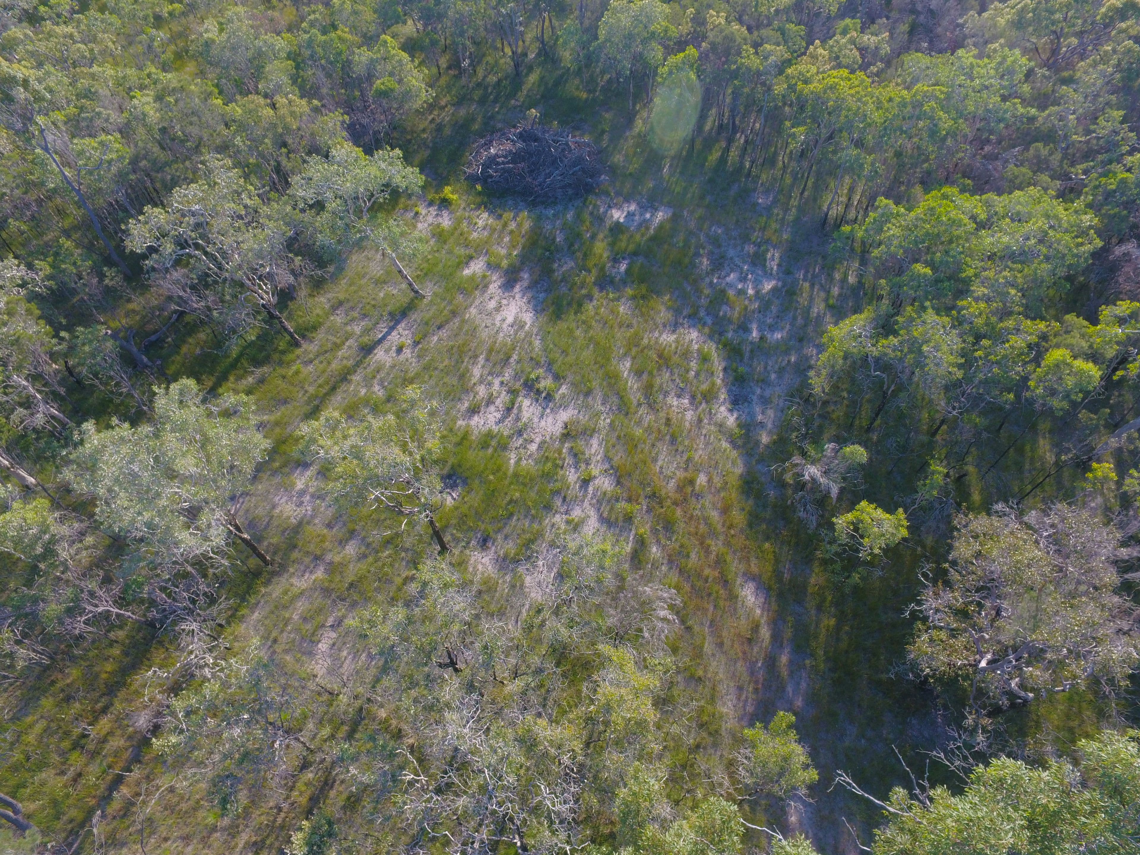 Lot 170 Josefski Road, Agnes Water QLD 4677, Agnes Water - Thumbnail 6