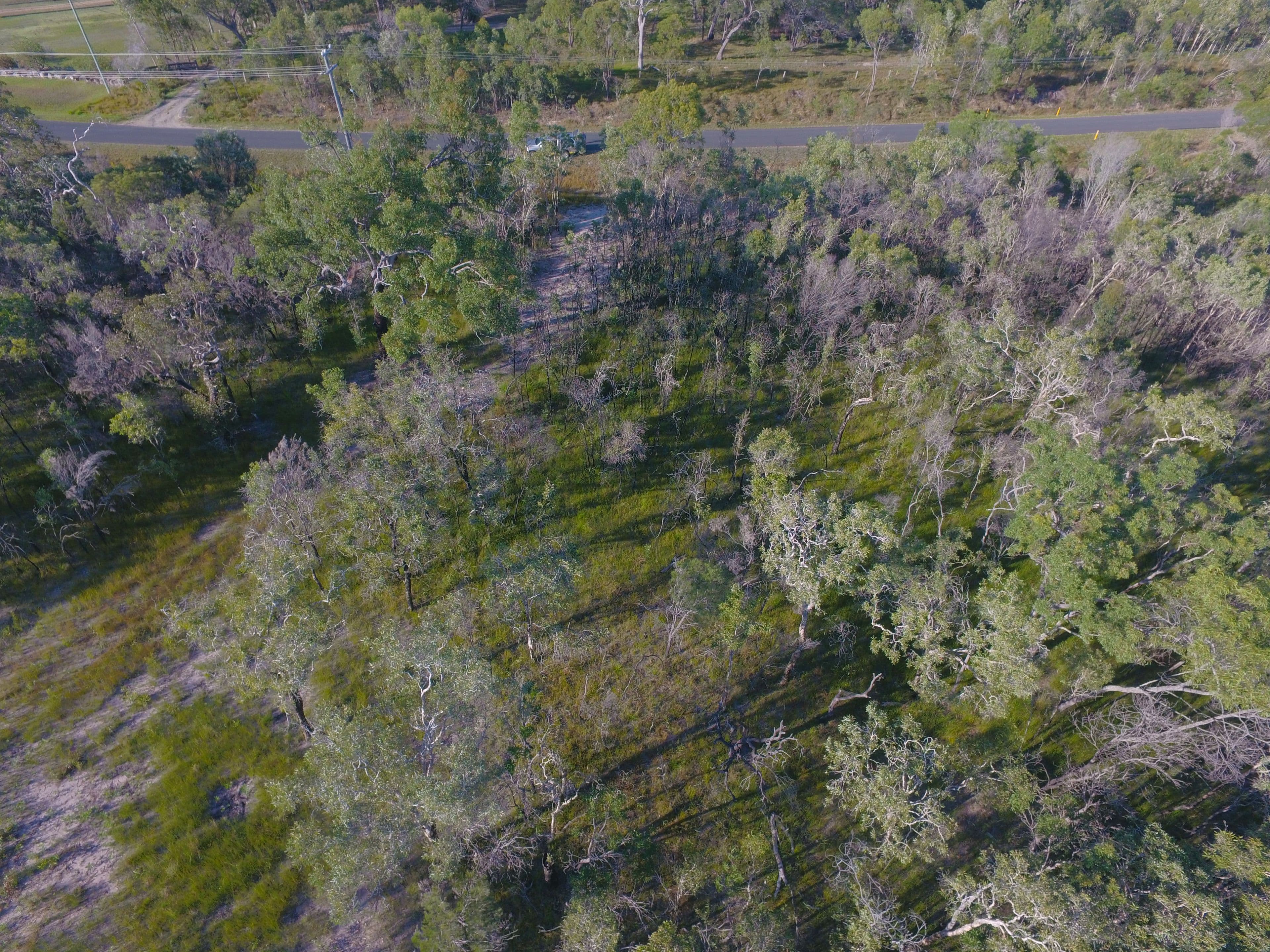 Lot 170 Josefski Road, Agnes Water QLD 4677, Agnes Water - Thumbnail 7