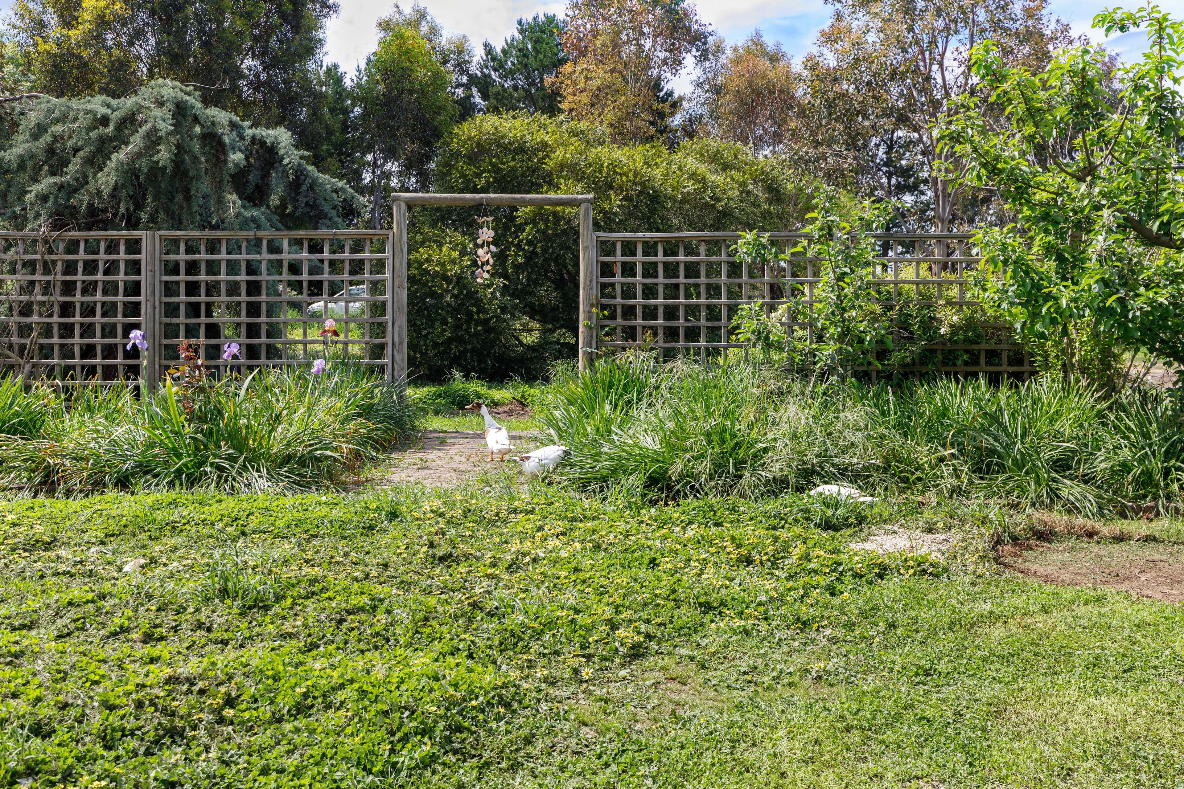 4 Wattle Glen, Murrumbateman NSW 2582, Murrumbateman - Thumbnail 4