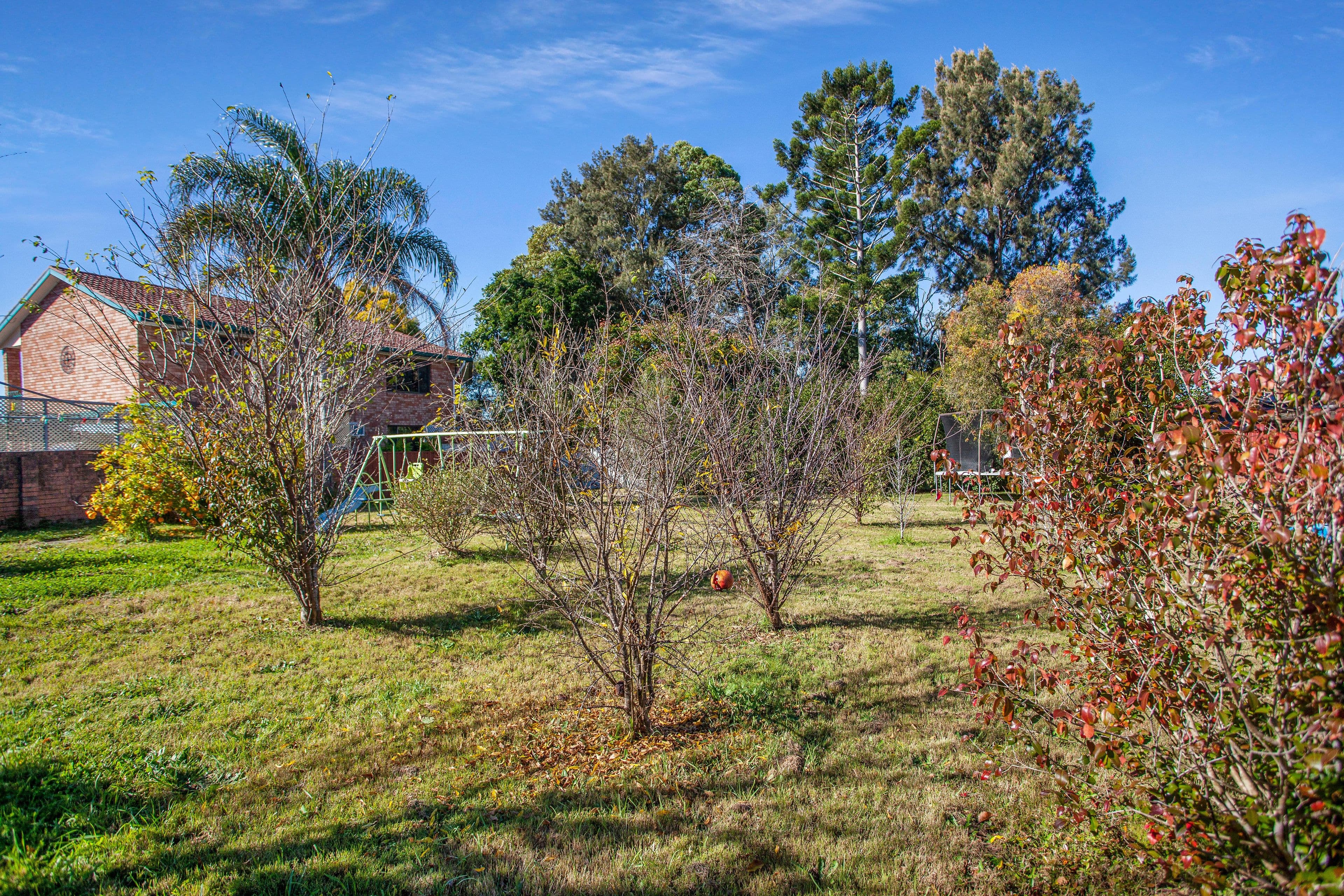 6 Crescent Avenue, Taree NSW 2430, Taree - Thumbnail 6