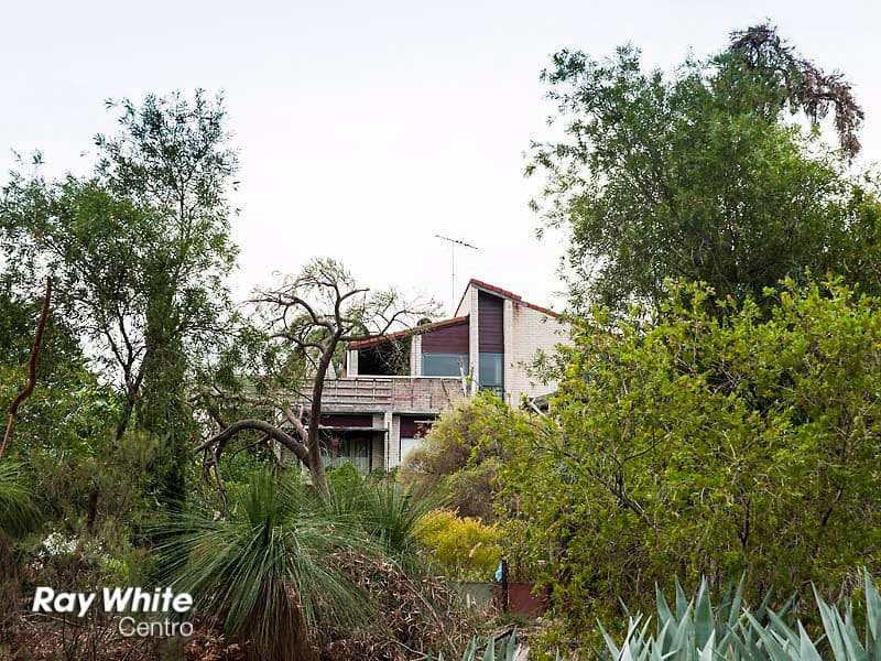 50 West Terrace, KALAMUNDA WA 6076, Kalamunda - Thumbnail 3