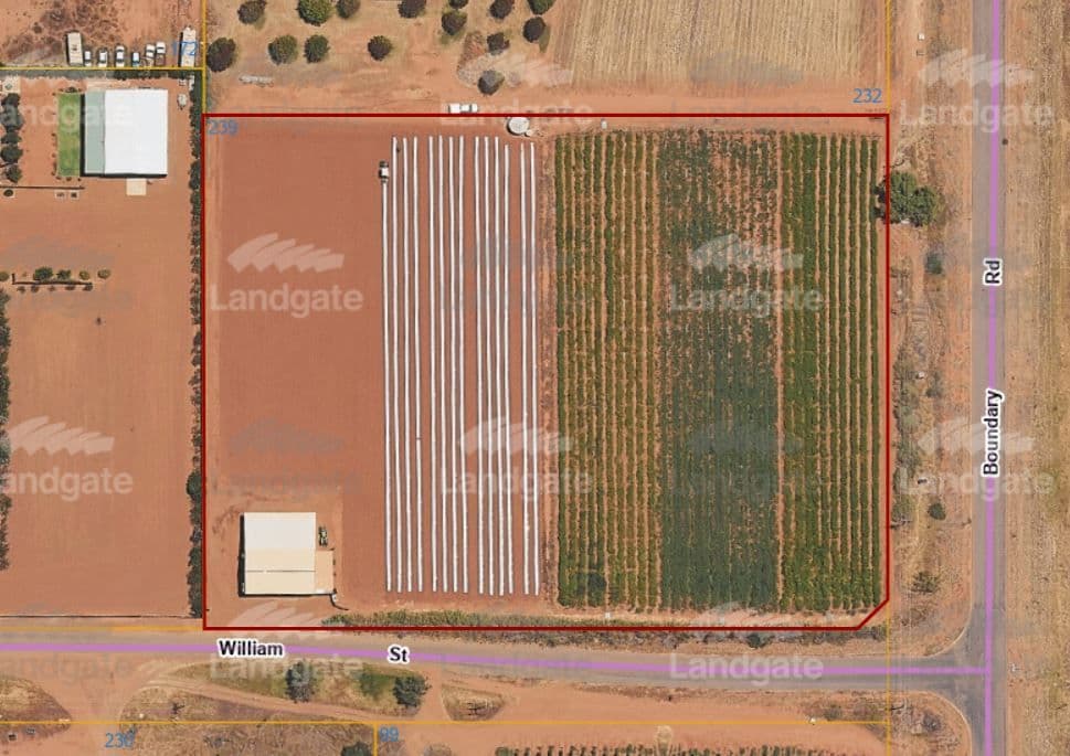 239 William Street, Carnarvon WA 6701, East Carnarvon - Thumbnail 2