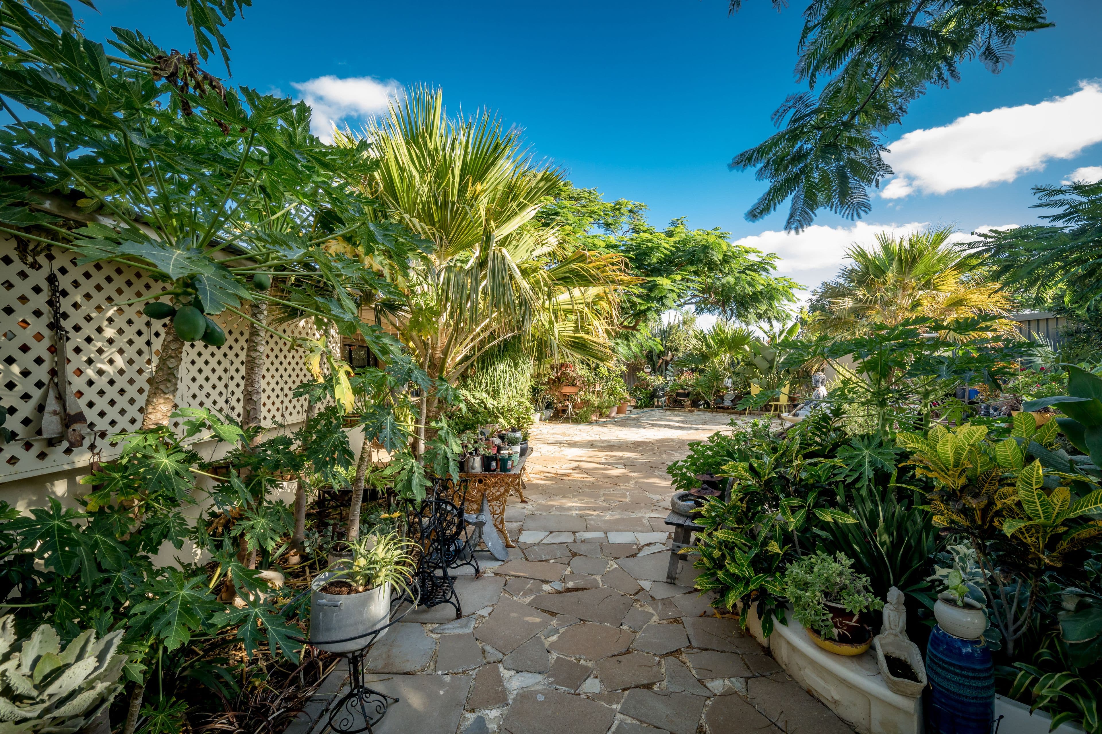 42 Waterfront Circle, Drummond Cove WA 6532, Drummond Cove - Thumbnail 8