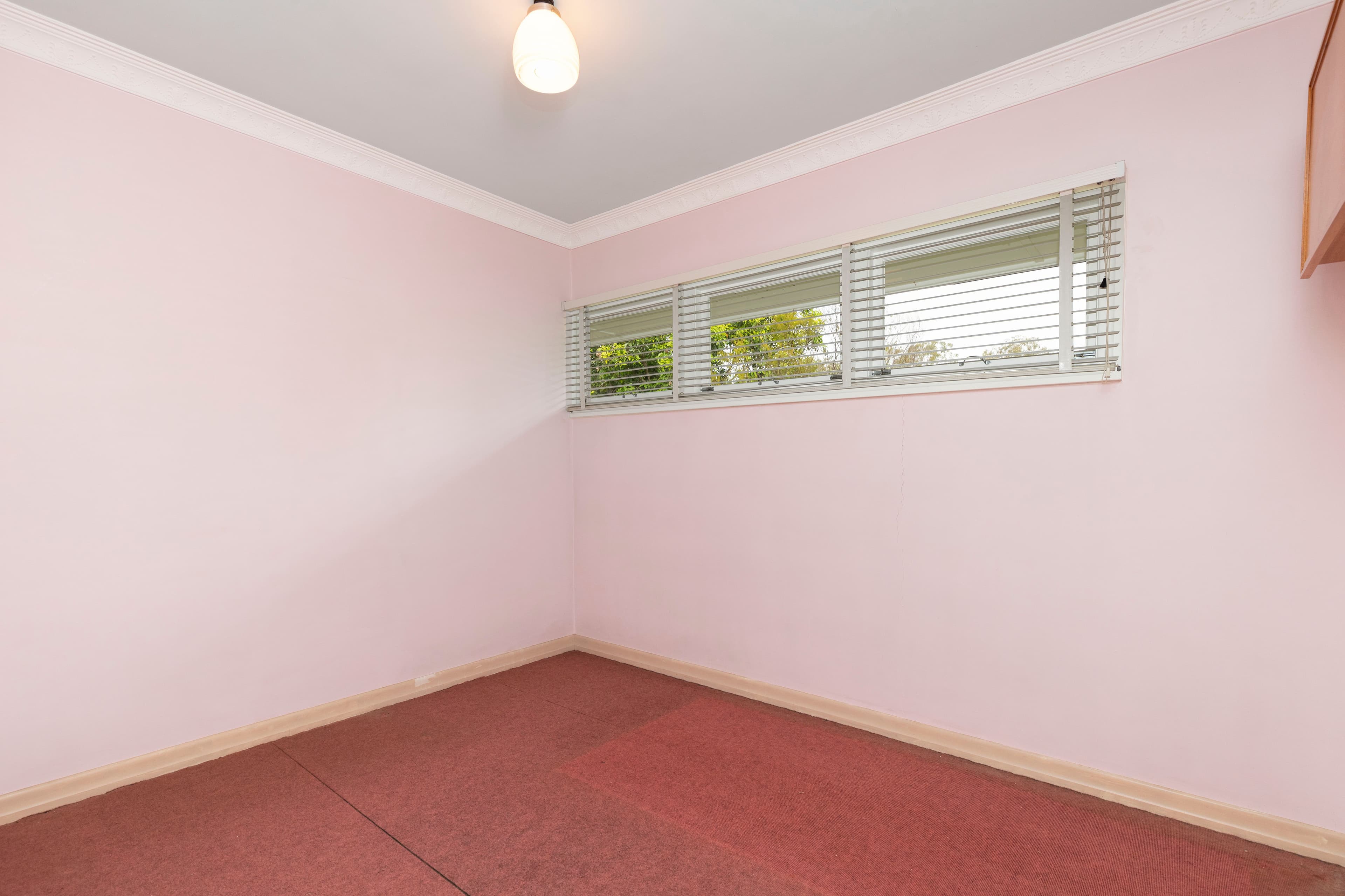 29 Citrus Street, Moorooka QLD 4105, Moorooka - Thumbnail 6