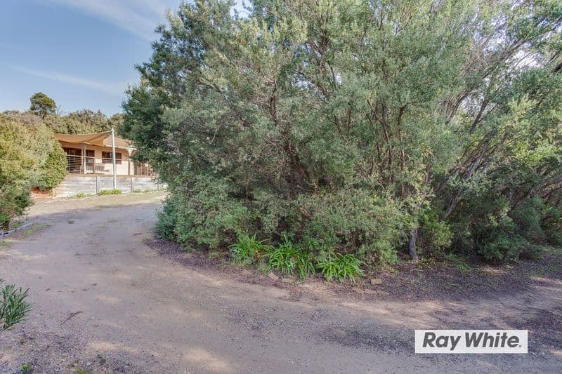47 Alex Drive, ST ANDREWS BEACH VIC 3941, St Andrews Beach - Thumbnail 5
